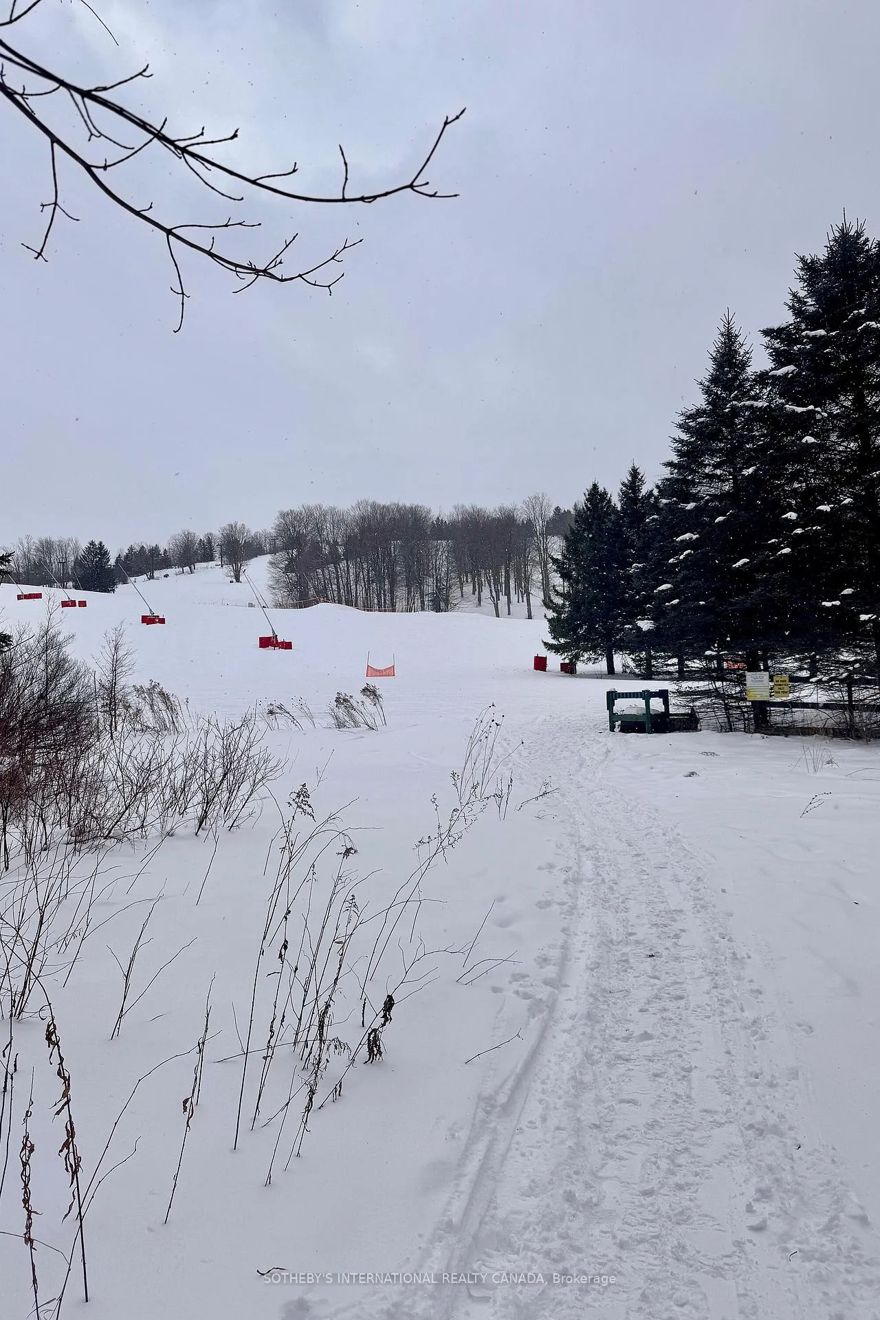 Photo 5 of 39 Pine River Crescent, Mulmur, Rural Mulmur — HOMEH