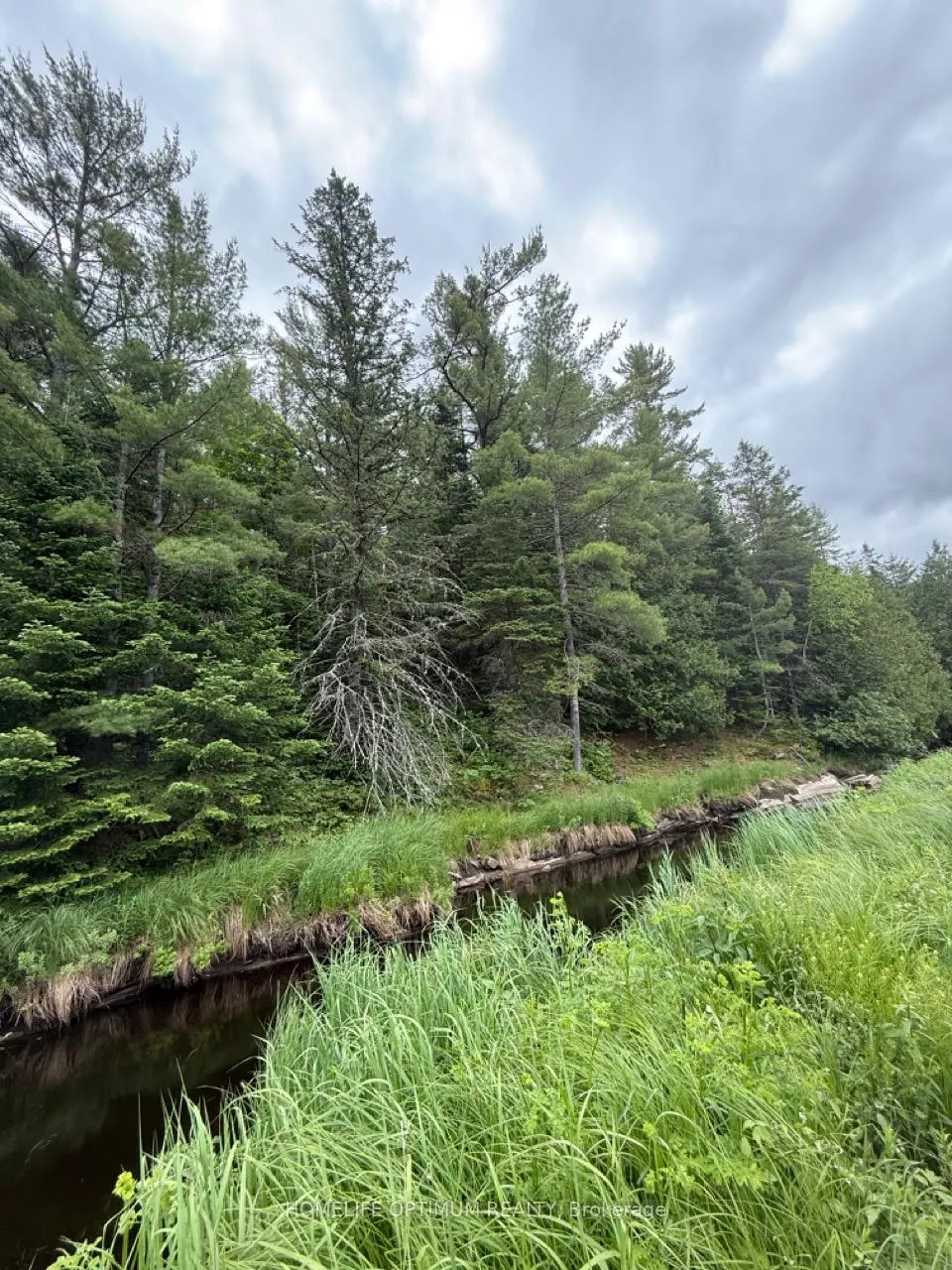 Photo 2 of LT 21 CON 10, Frontenac, Frontenac North — HOMEH