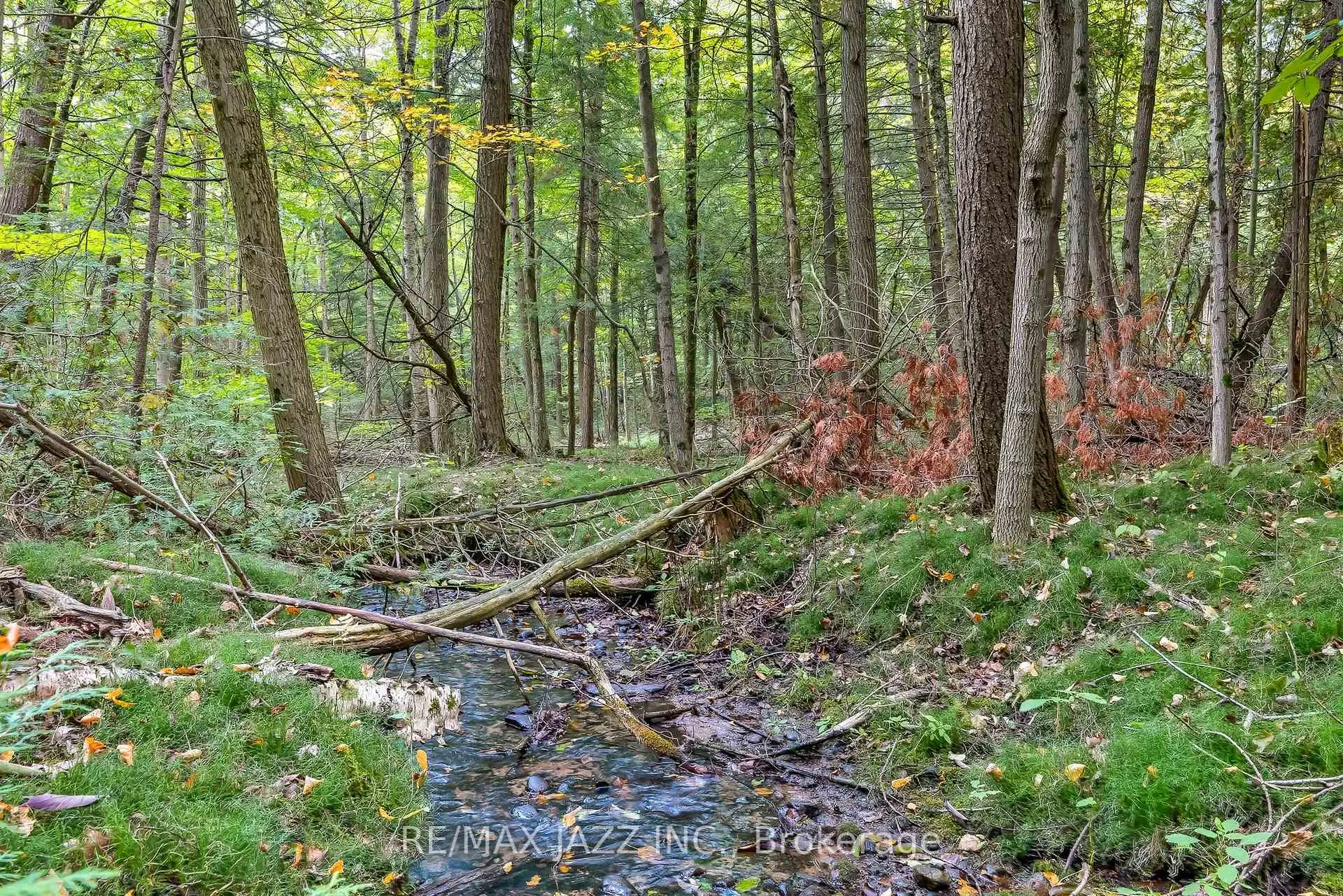 Photo 7 of 9500 Grasshopper Park Road, Clarington, Rural Clarington — HOMEH
