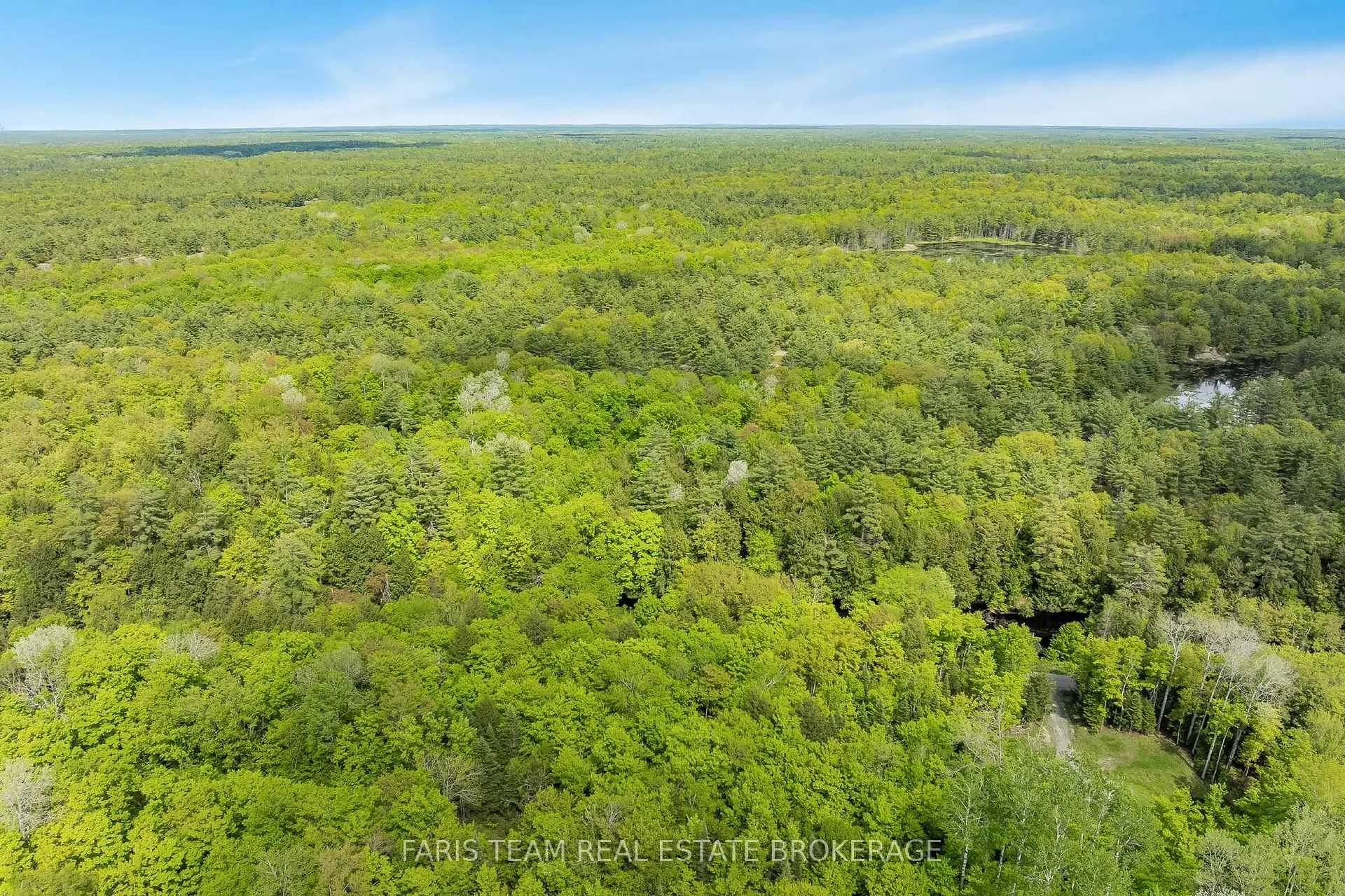 Photo 6 of 7950 Kings River Road, Ramara, Rural Ramara — HOMEH