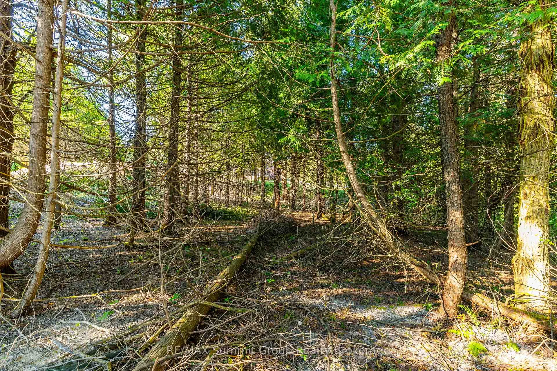 Photo 13 of LT 15 Confederation Drive, Chatsworth — HOMEH