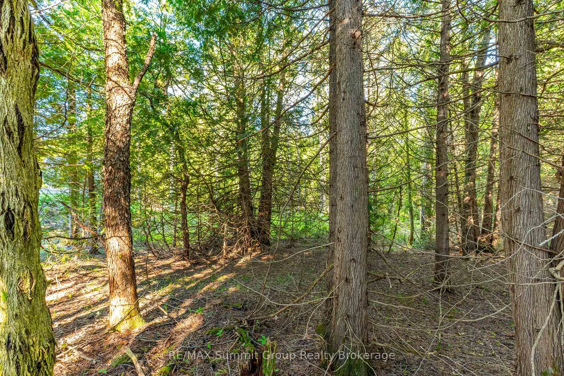 Photo 14 of LT 15 Confederation Drive, Chatsworth — HOMEH