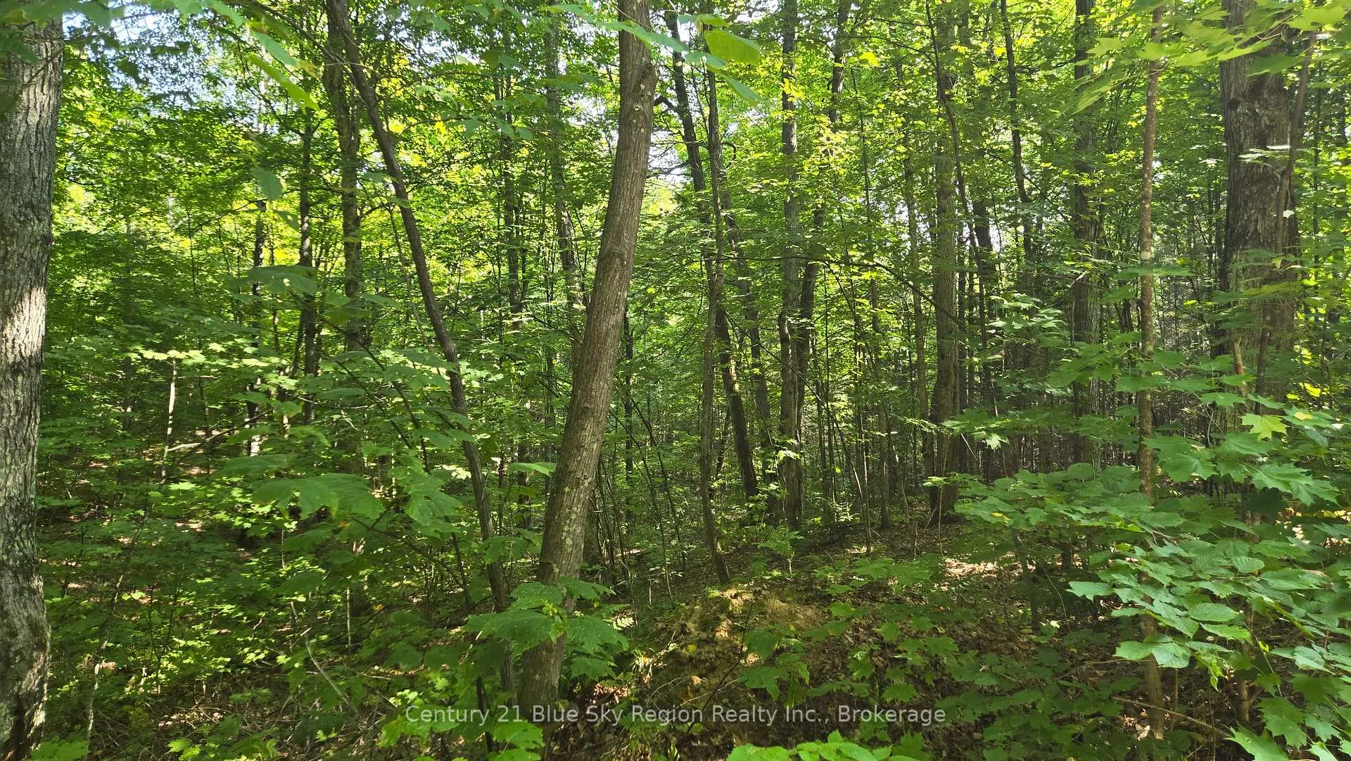Photo 2 of Lot 13 Con 2, Chisholm — HOMEH