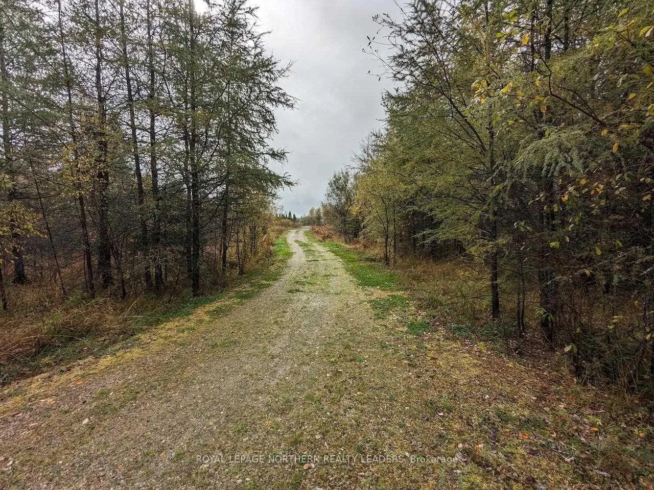 Photo 10 of PCL 3022 Calder, Cochrane, Cochrane Unorganized — HOMEH