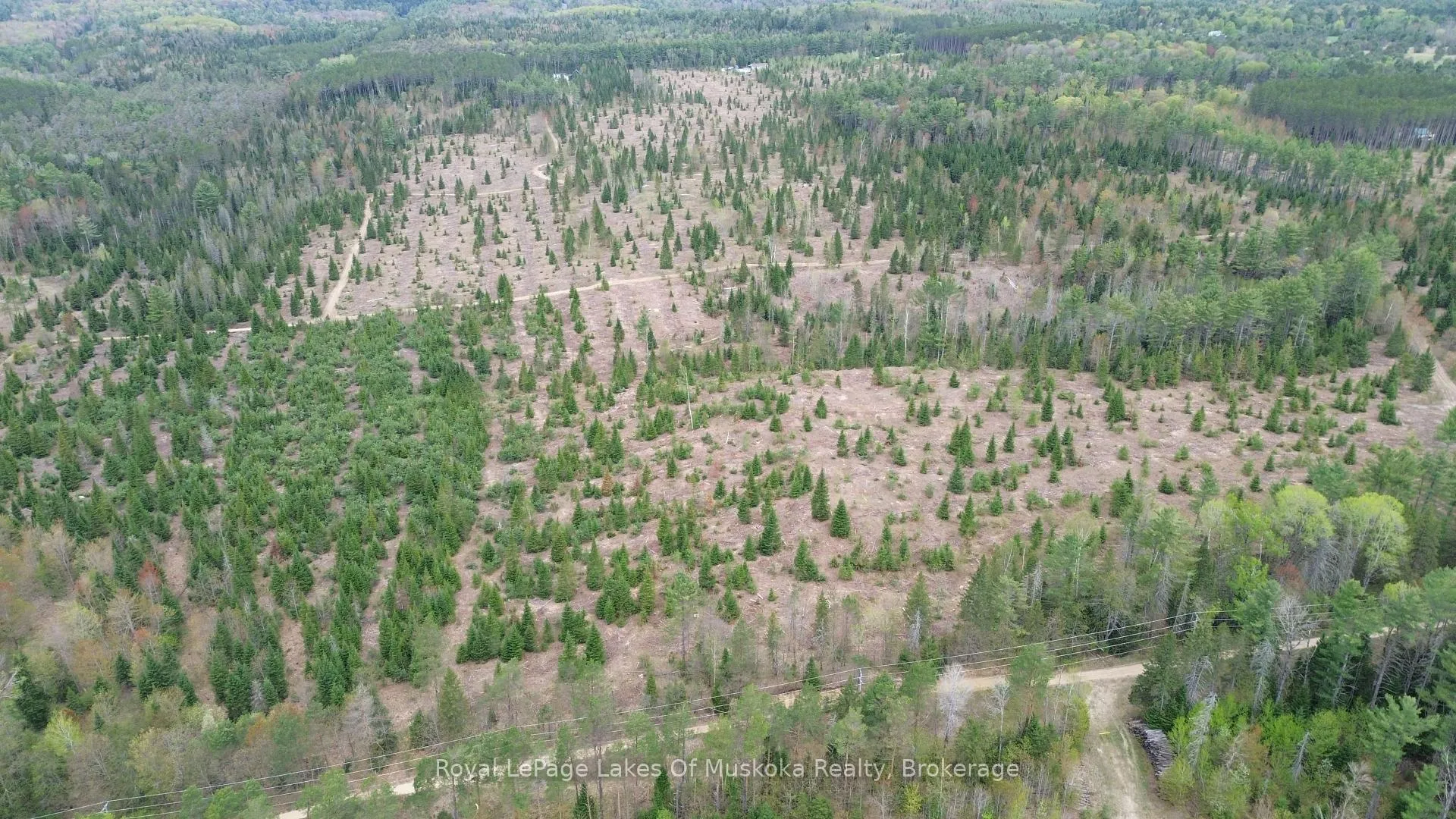 Photo 7 of 395 Stephenson 1 Road E, Bracebridge, Macaulay — HOMEH