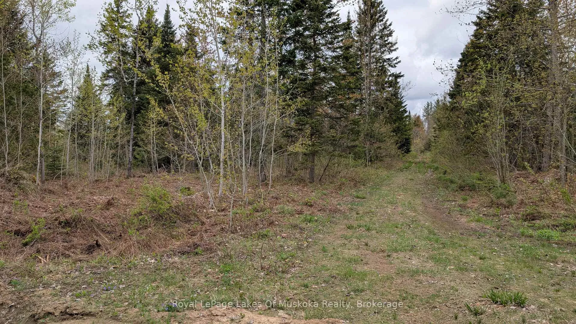 Photo 10 of 395 Stephenson 1 Road E, Bracebridge, Macaulay — HOMEH