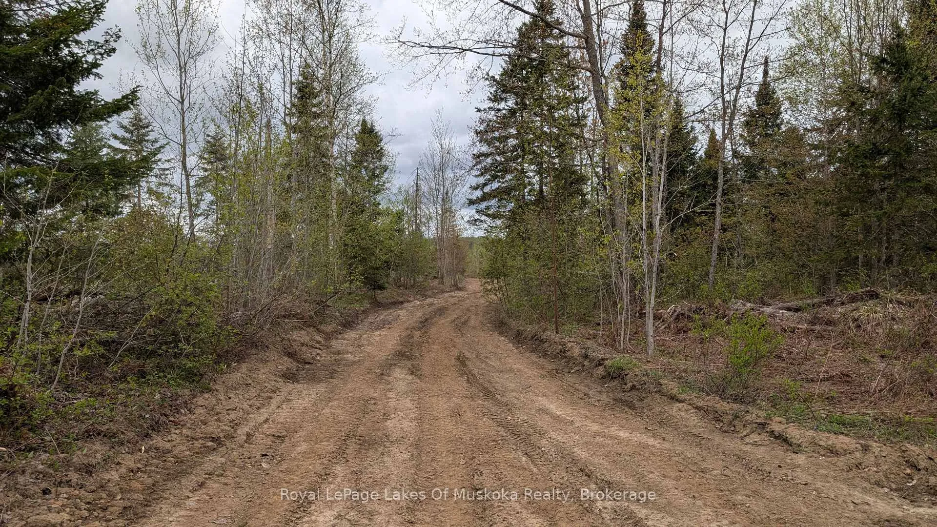 Photo 11 of 395 Stephenson 1 Road E, Bracebridge, Macaulay — HOMEH