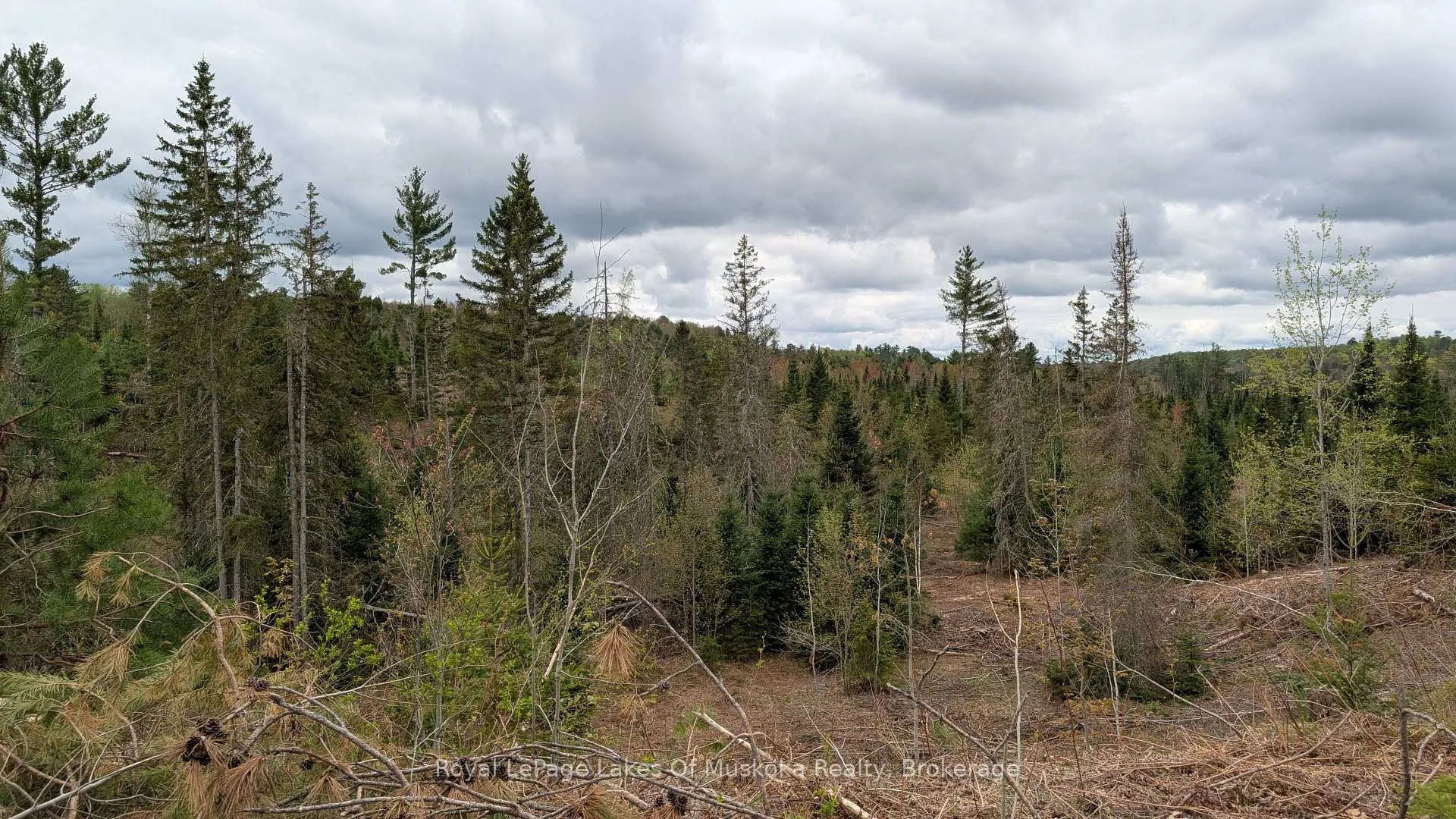 Photo 15 of 395 Stephenson 1 Road E, Bracebridge, Macaulay — HOMEH