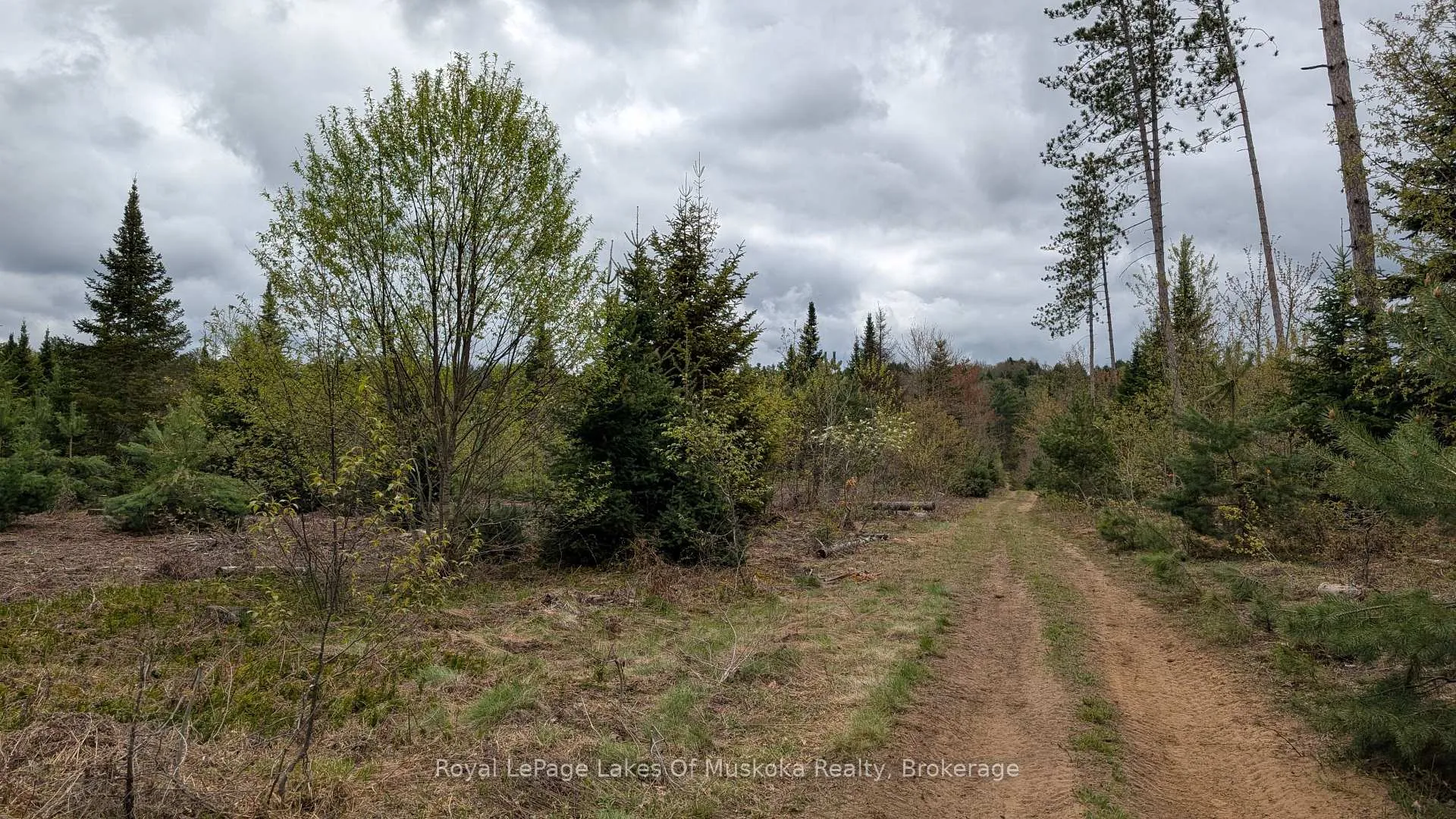 Photo 17 of 395 Stephenson 1 Road E, Bracebridge, Macaulay — HOMEH