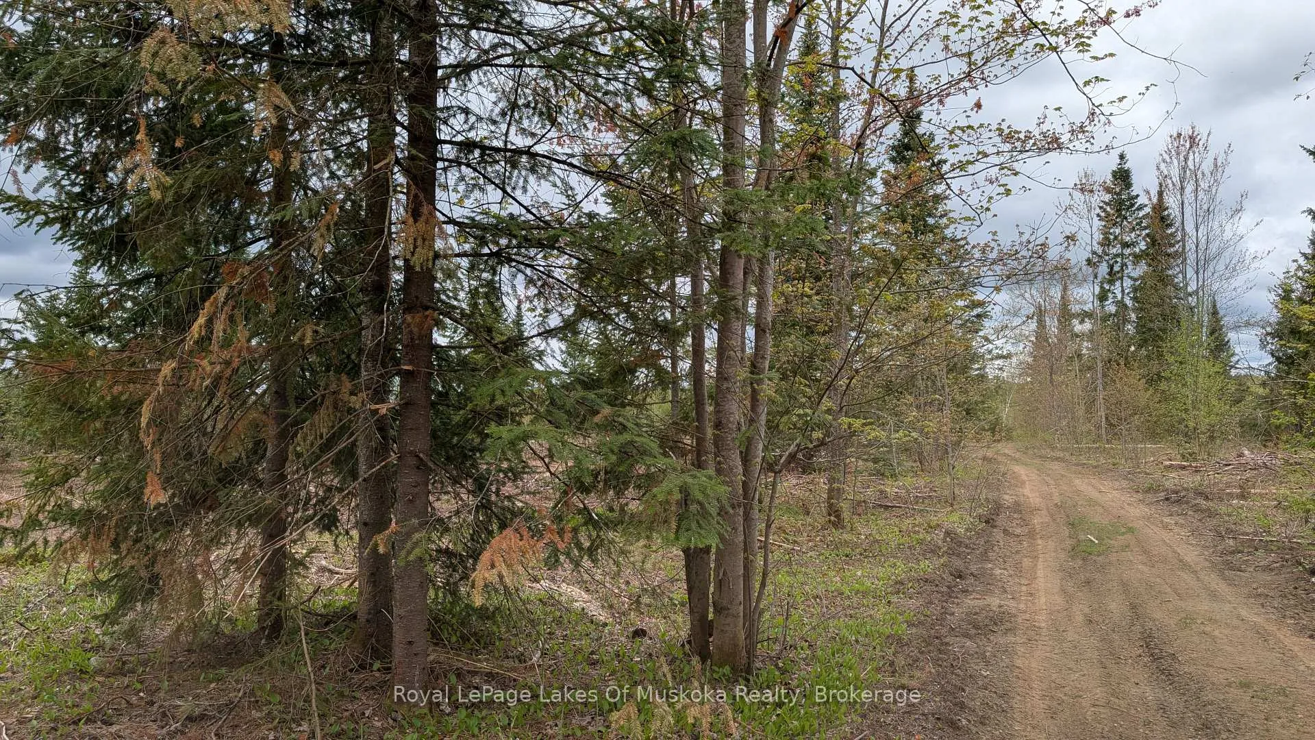 Photo 21 of 395 Stephenson 1 Road E, Bracebridge, Macaulay — HOMEH