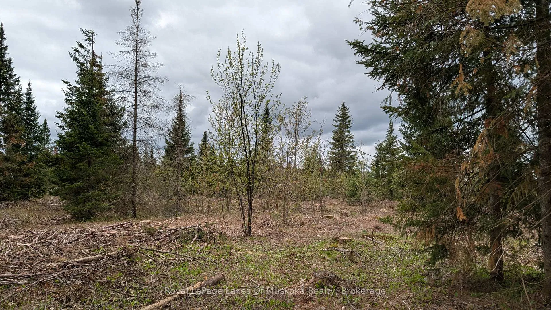 Photo 22 of 395 Stephenson 1 Road E, Bracebridge, Macaulay — HOMEH