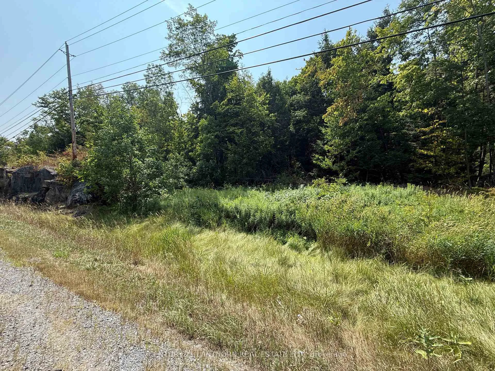 Photo 4 of 00 Hwy 62 N, Madoc — HOMEH