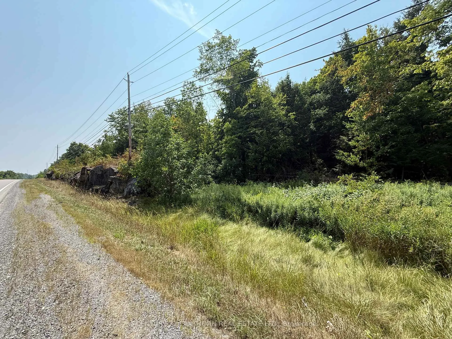Photo 5 of 00 Hwy 62 N, Madoc — HOMEH