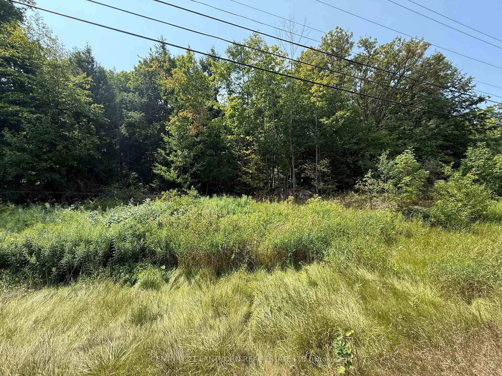 Photo 6 of 00 Hwy 62 N, Madoc — HOMEH