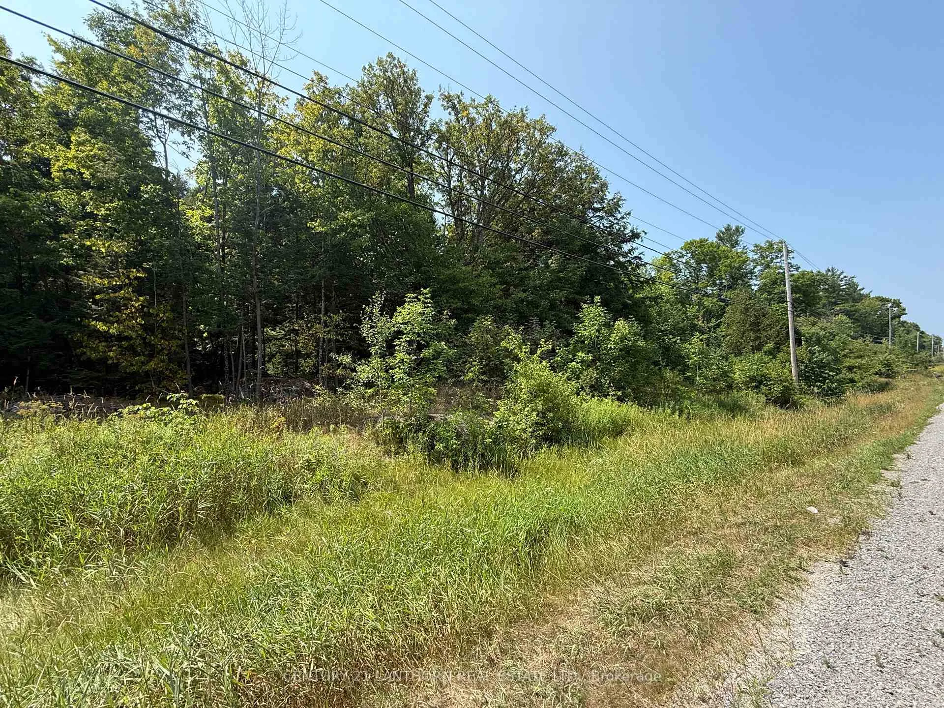 Photo 7 of 00 Hwy 62 N, Madoc — HOMEH