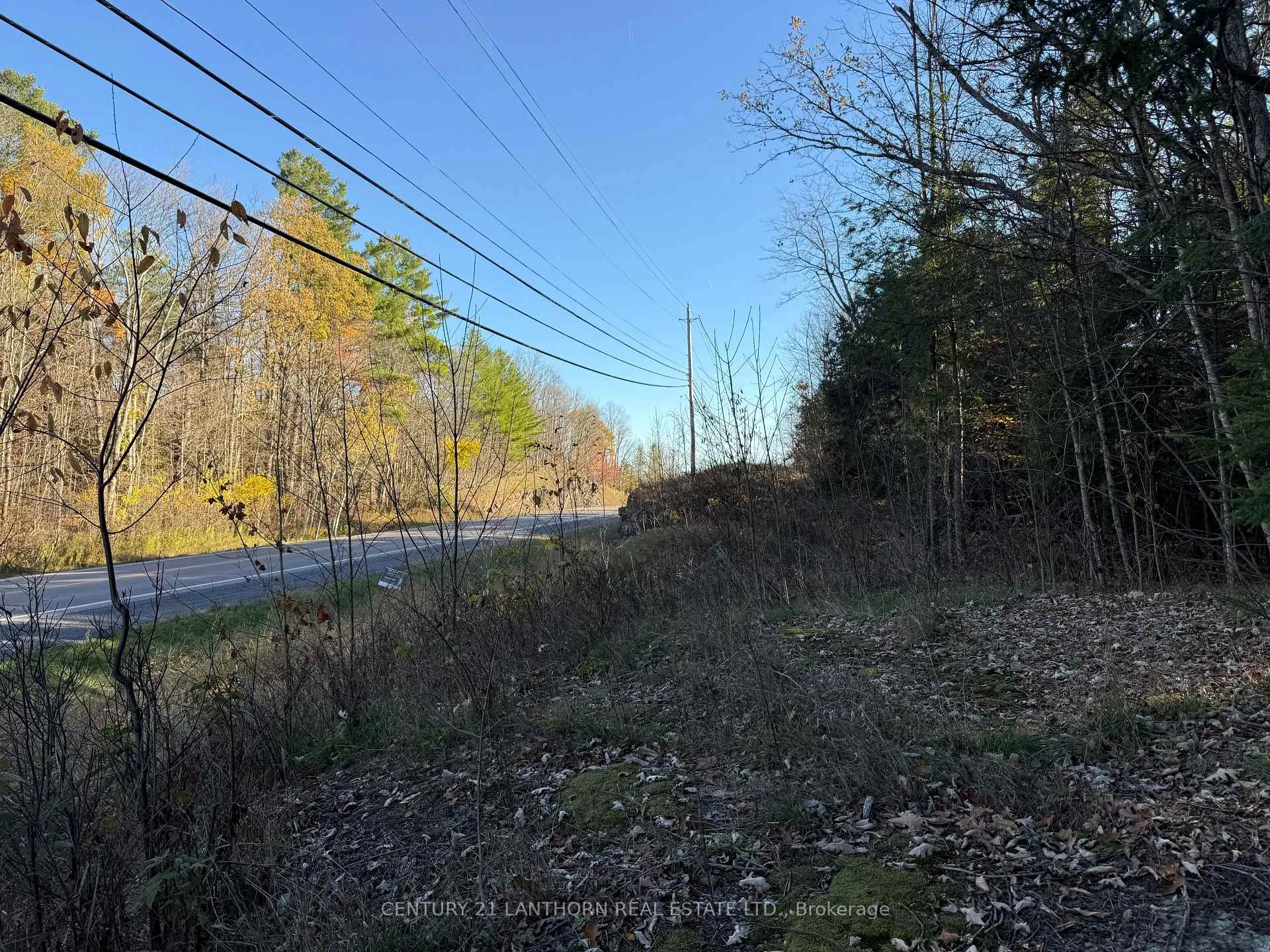 Photo 9 of 00 Hwy 62 N, Madoc — HOMEH