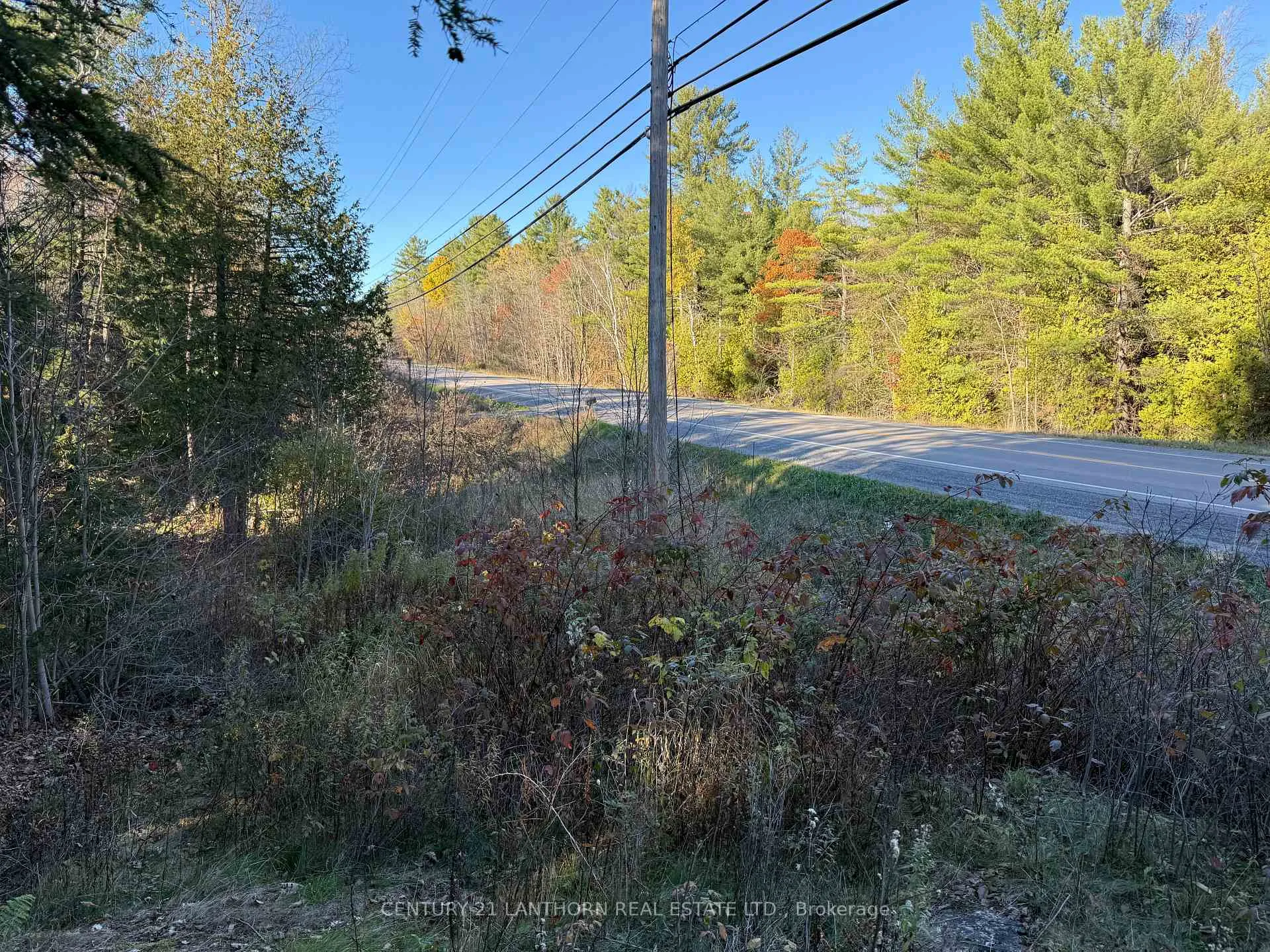 Photo 11 of 00 Hwy 62 N, Madoc — HOMEH