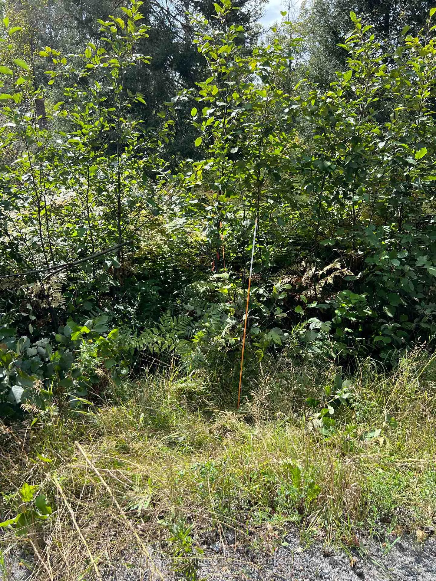 Photo 3 of Part 2 Highway 539A, West Nipissing, River Valley — HOMEH