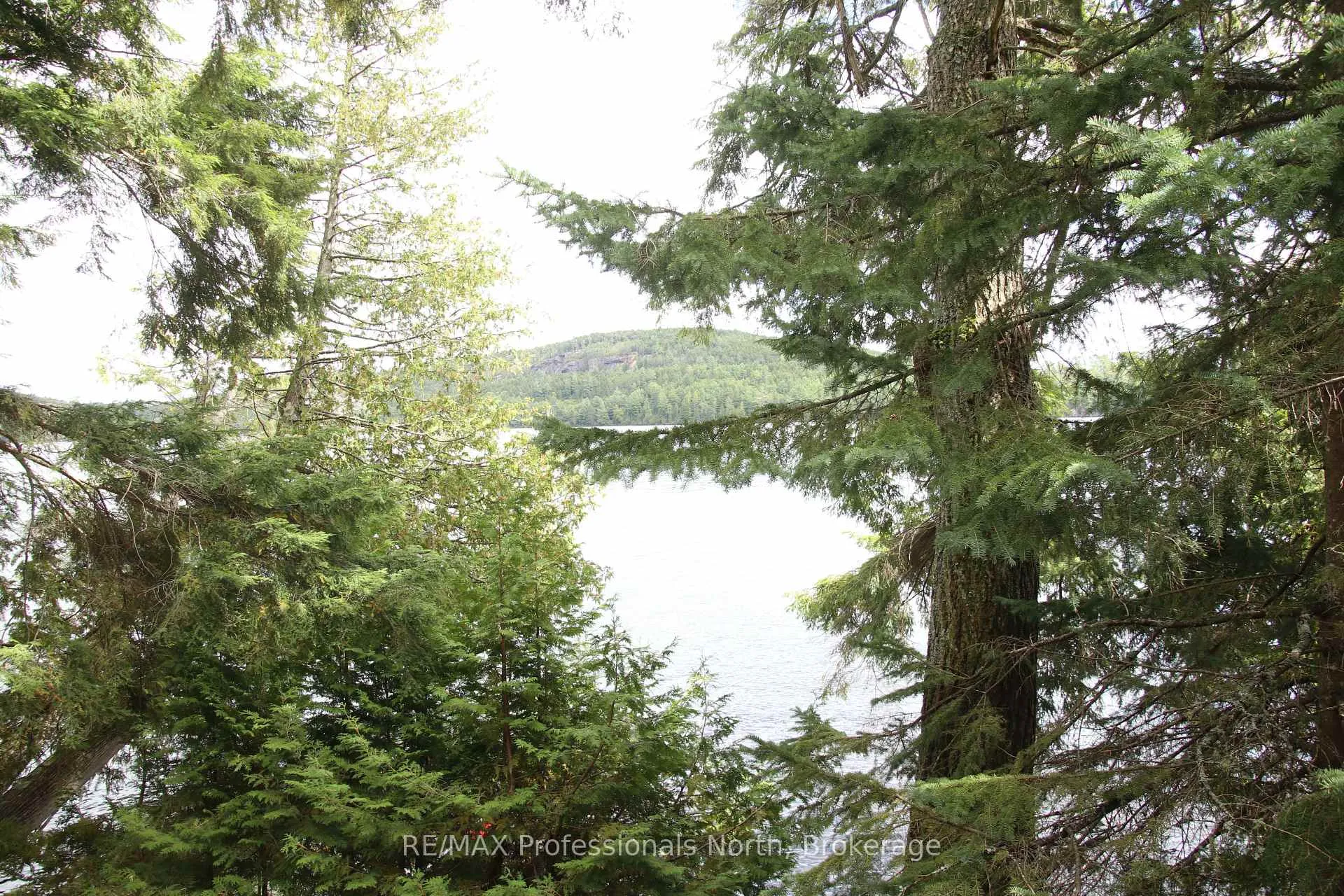 Photo 6 of APL1450 1115 Rock Lake Road, South Algonquin — HOMEH
