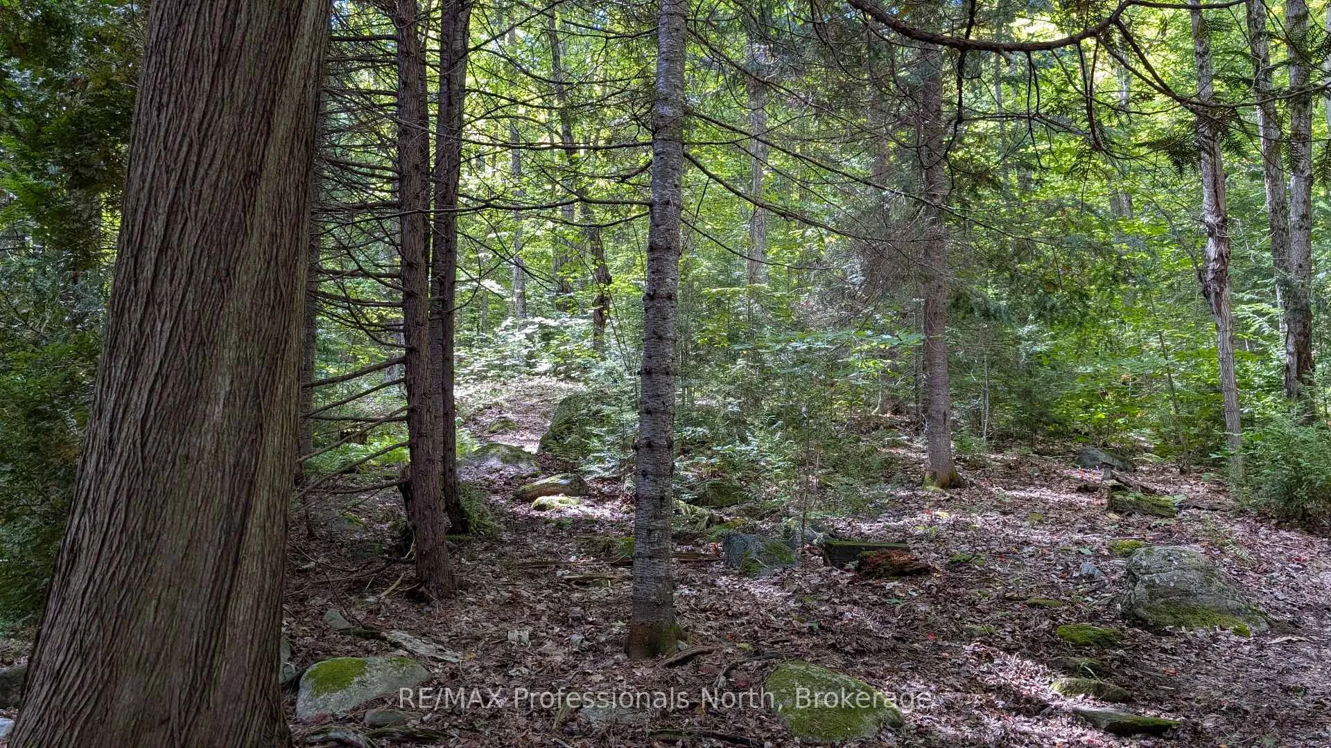 Photo 18 of APL1450 1115 Rock Lake Road, South Algonquin — HOMEH