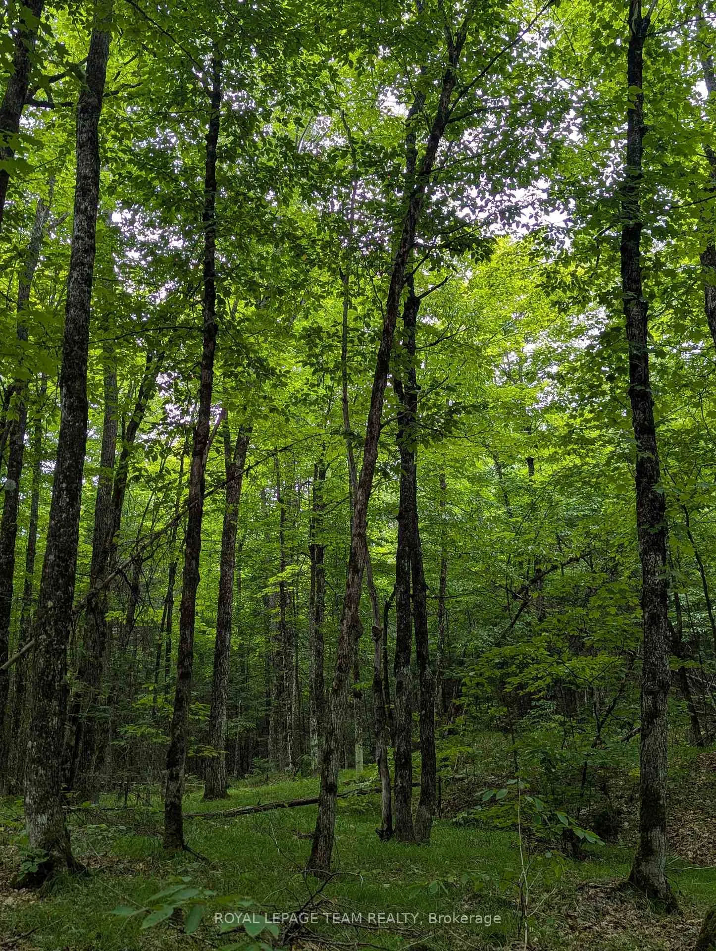 Photo 1 of 00 Triple Tower Road, Lanark Highlands, Lanark Highlands (Lavant) Twp — HOMEH