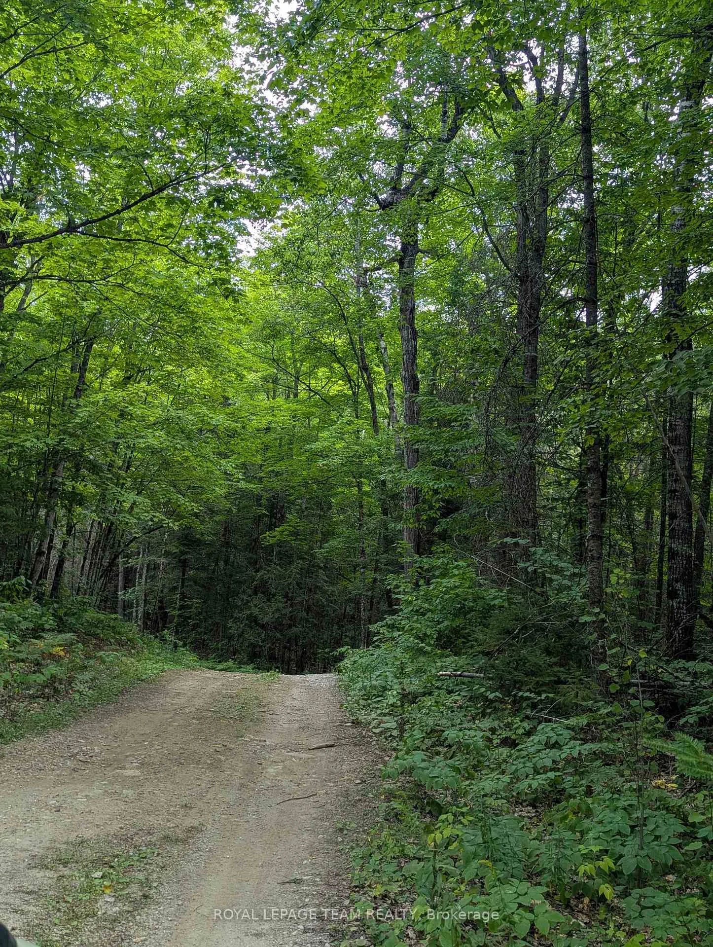 Photo 4 of 00 Triple Tower Road, Lanark Highlands, Lanark Highlands (Lavant) Twp — HOMEH