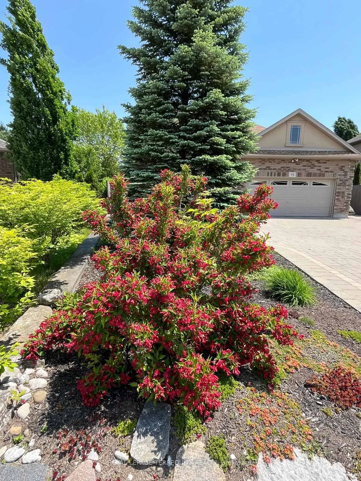 Photo 3 of 98 Michael Drive, Welland, Prince Charles — HOMEH