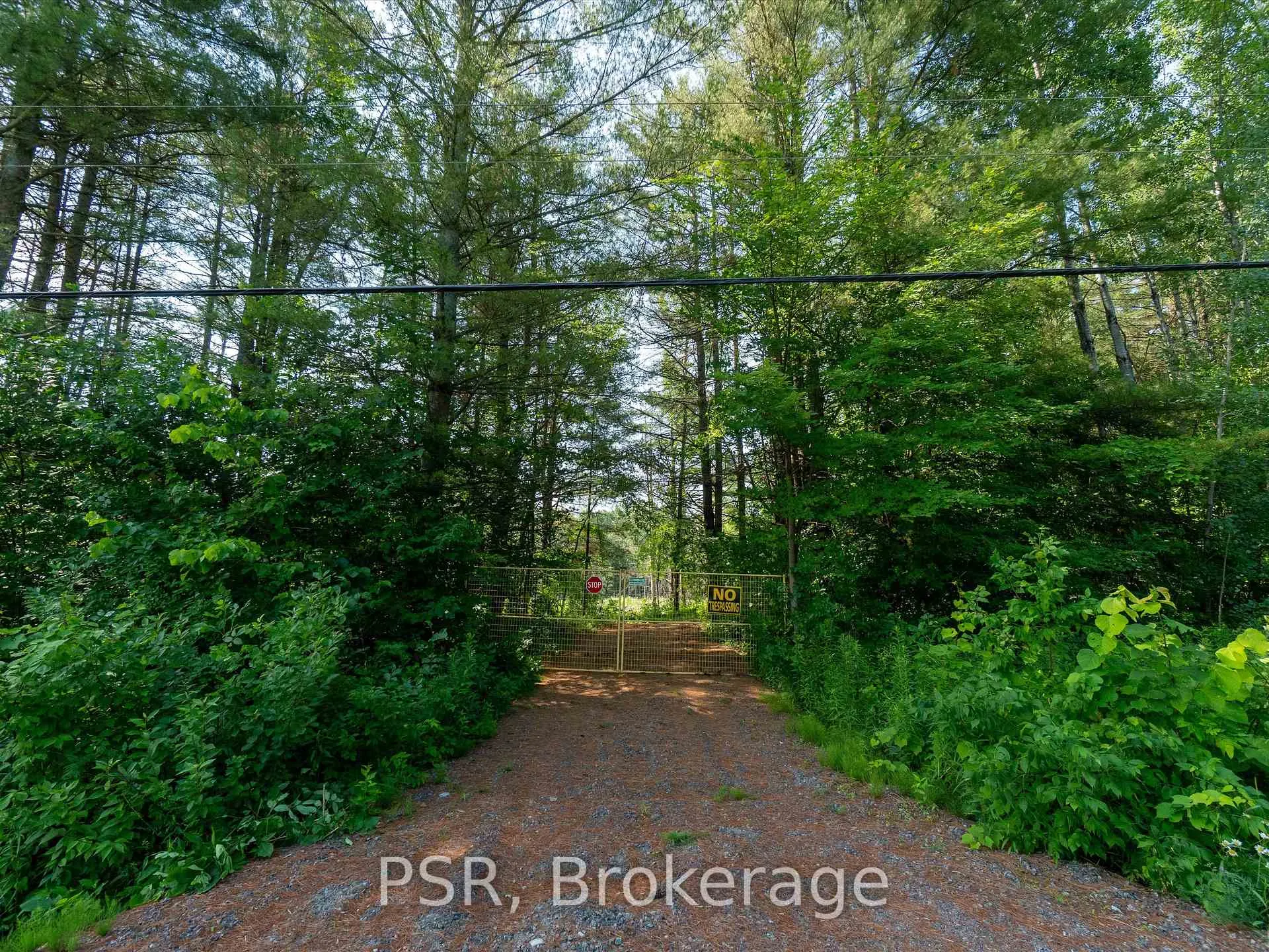 Photo 5 of 1465 Canning Road, Gravenhurst, Muskoka (S) — HOMEH