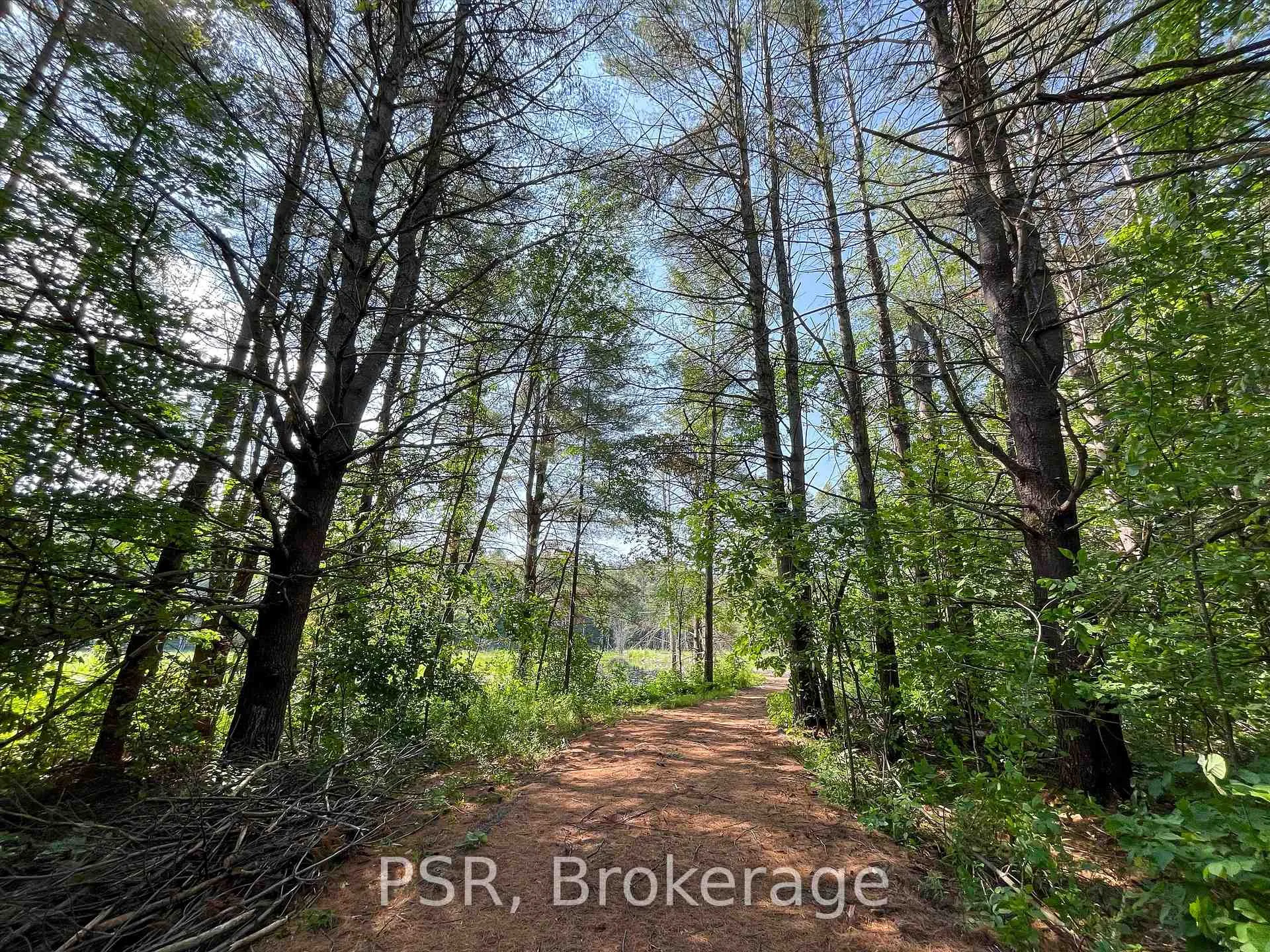 Photo 6 of 1465 Canning Road, Gravenhurst, Muskoka (S) — HOMEH