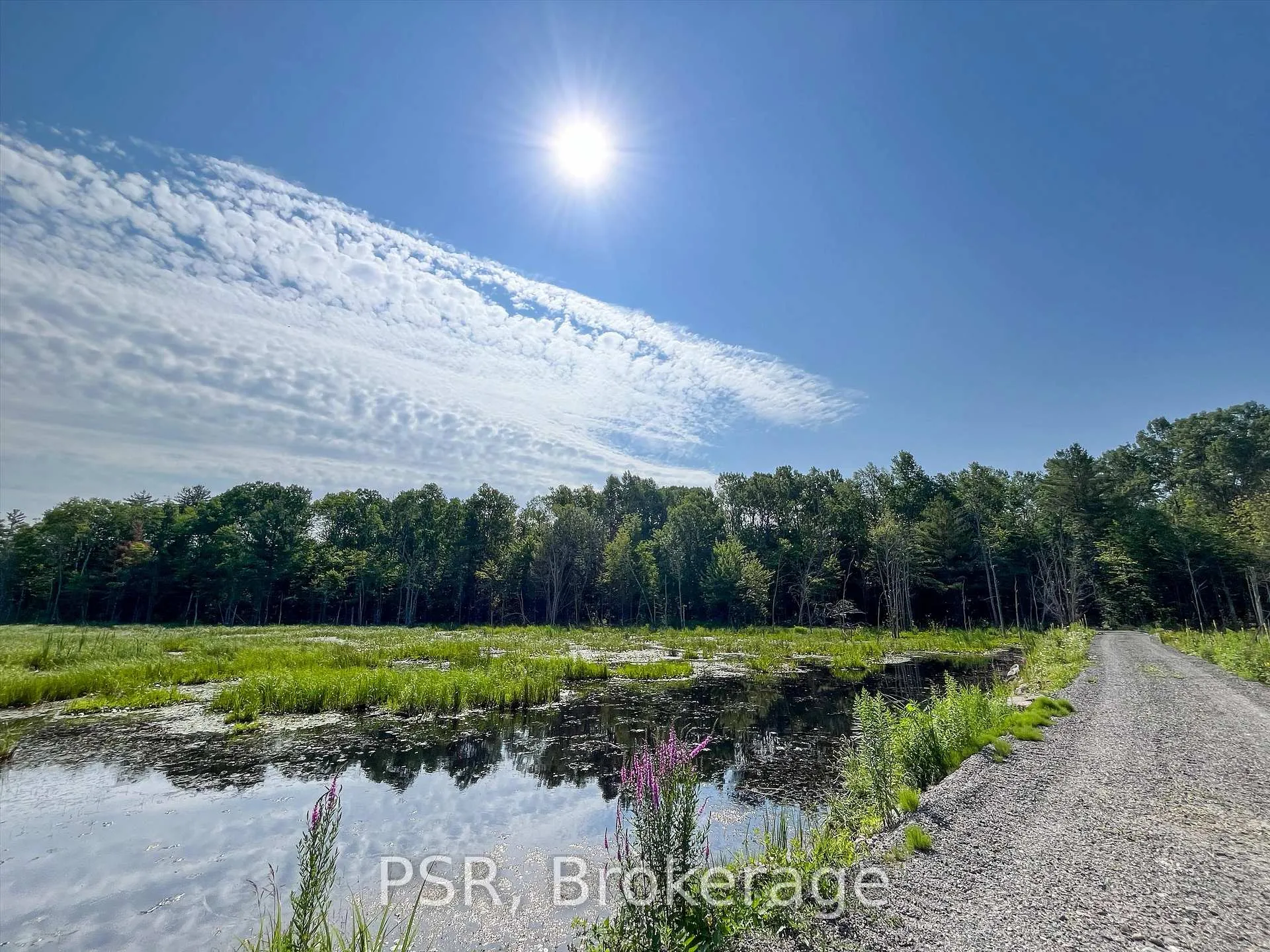 Photo 8 of 1465 Canning Road, Gravenhurst, Muskoka (S) — HOMEH