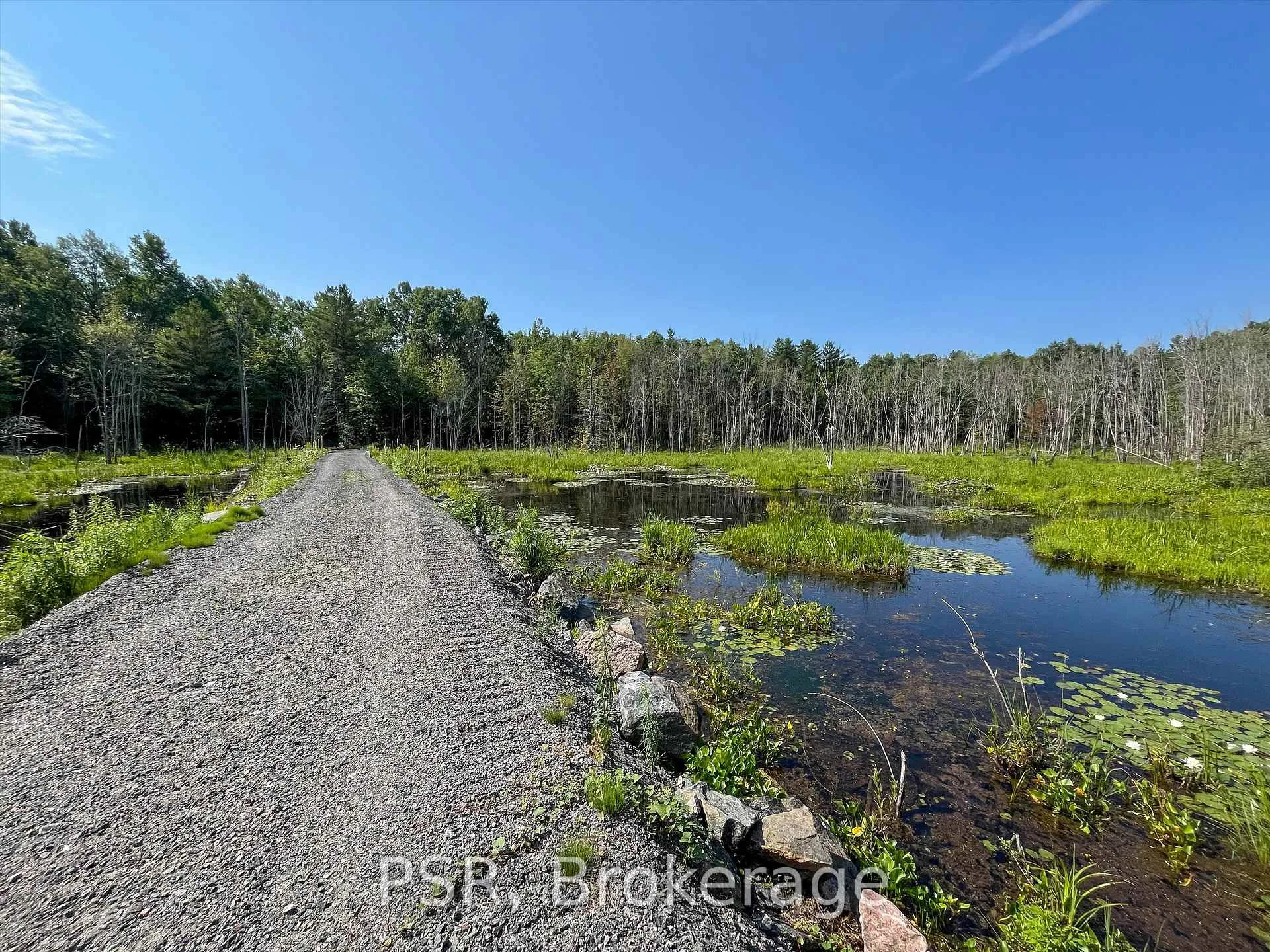 Photo 9 of 1465 Canning Road, Gravenhurst, Muskoka (S) — HOMEH