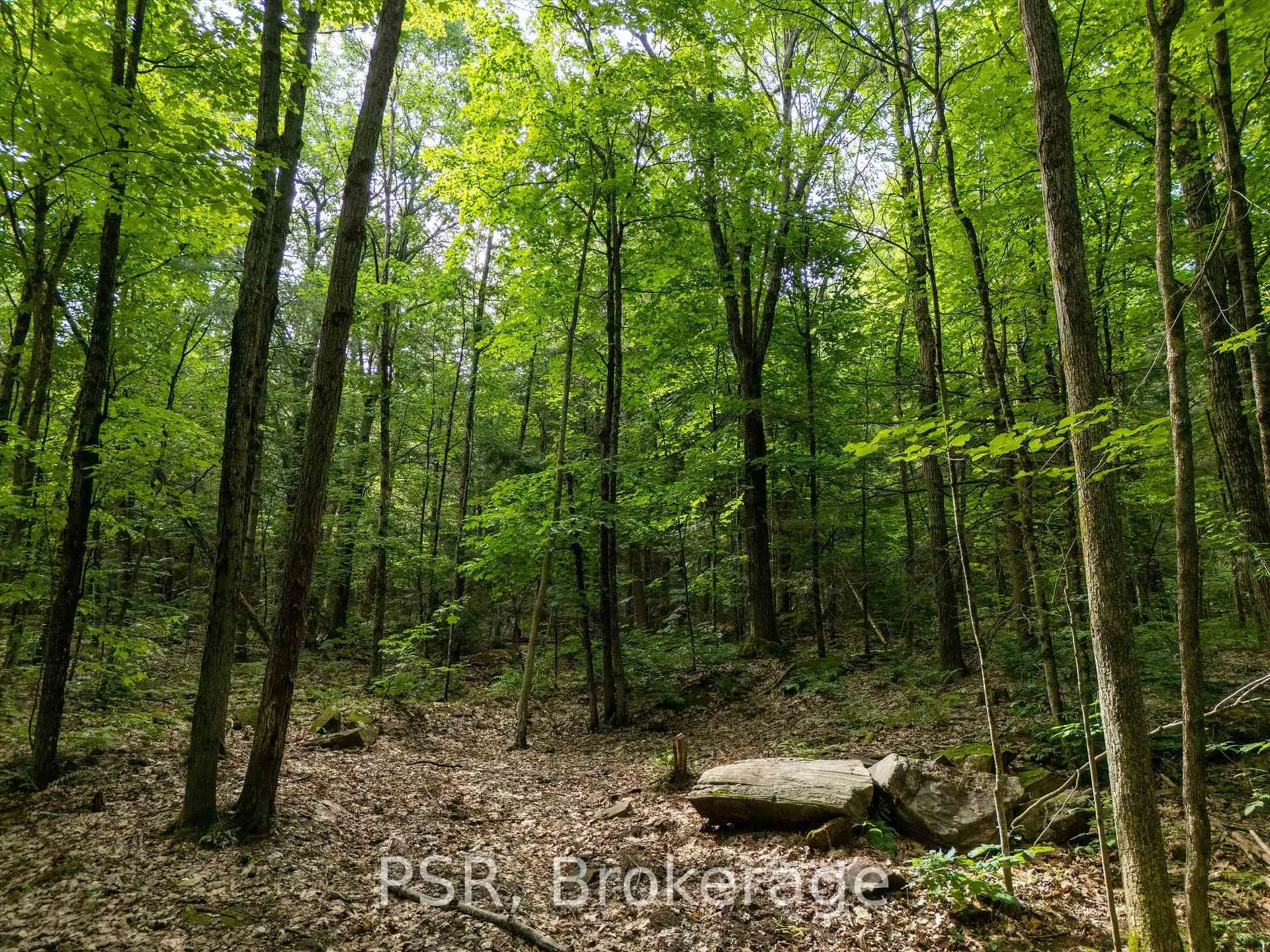 Photo 16 of 1465 Canning Road, Gravenhurst, Muskoka (S) — HOMEH
