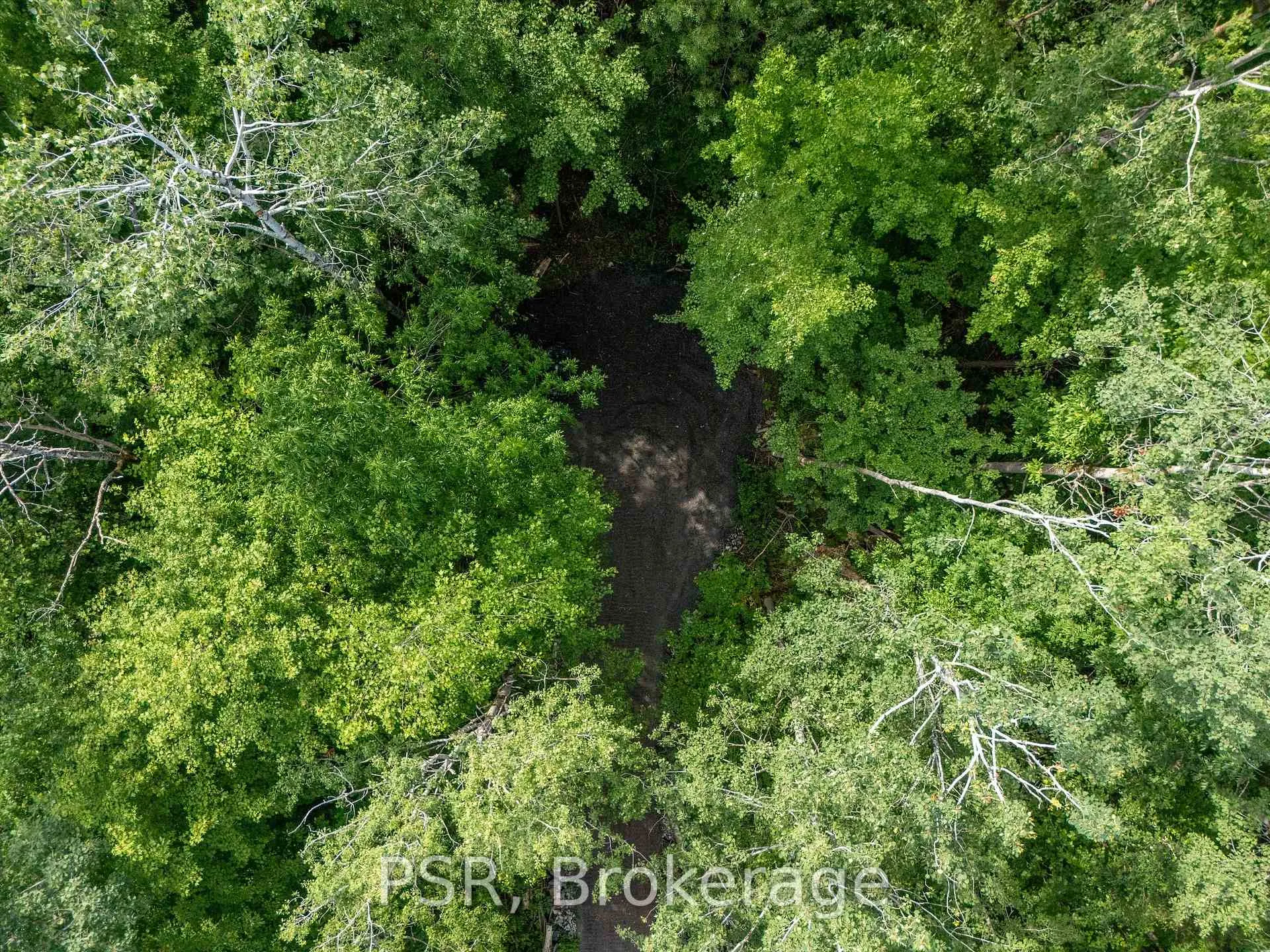Photo 19 of 1465 Canning Road, Gravenhurst, Muskoka (S) — HOMEH