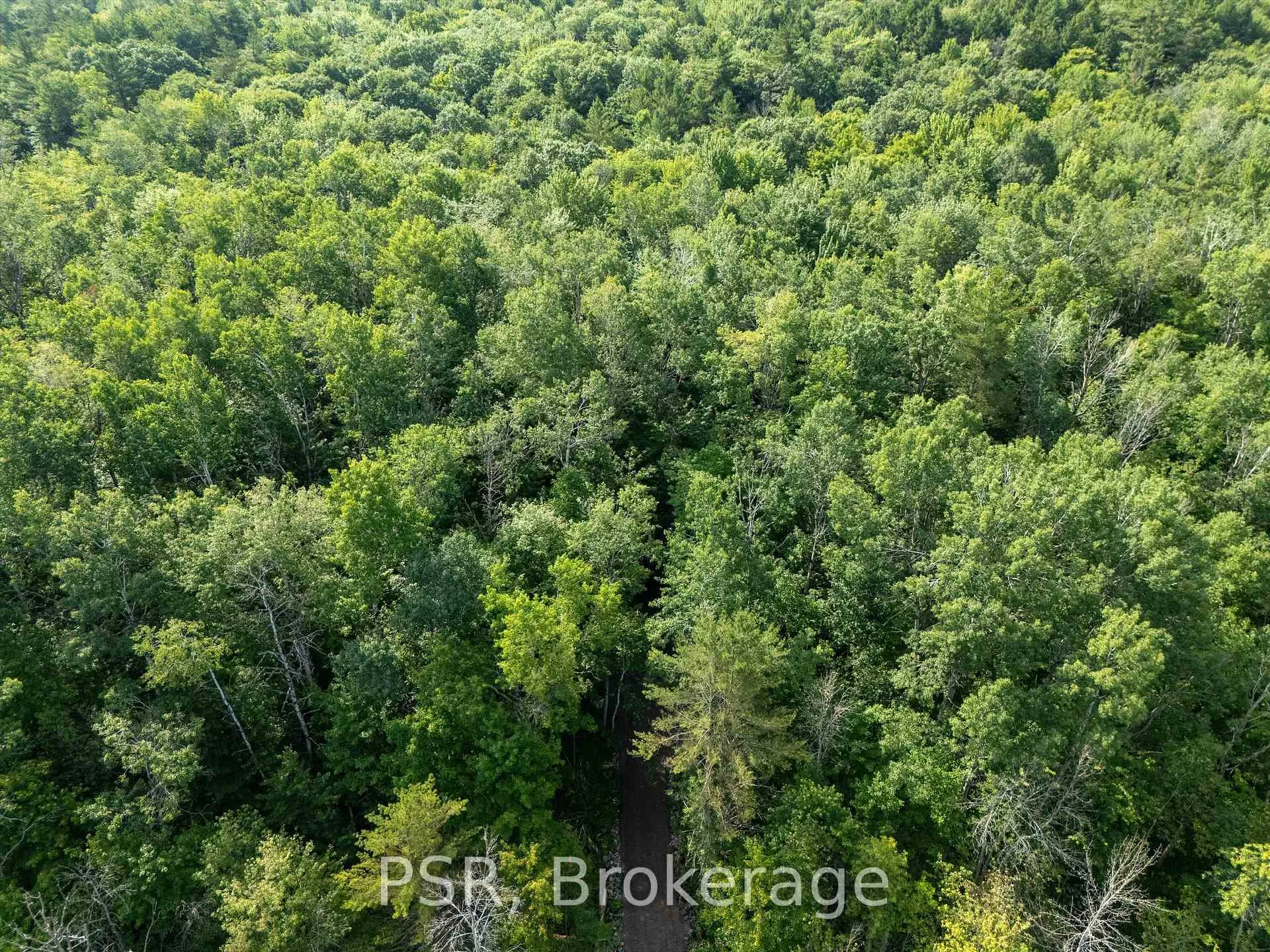 Photo 20 of 1465 Canning Road, Gravenhurst, Muskoka (S) — HOMEH