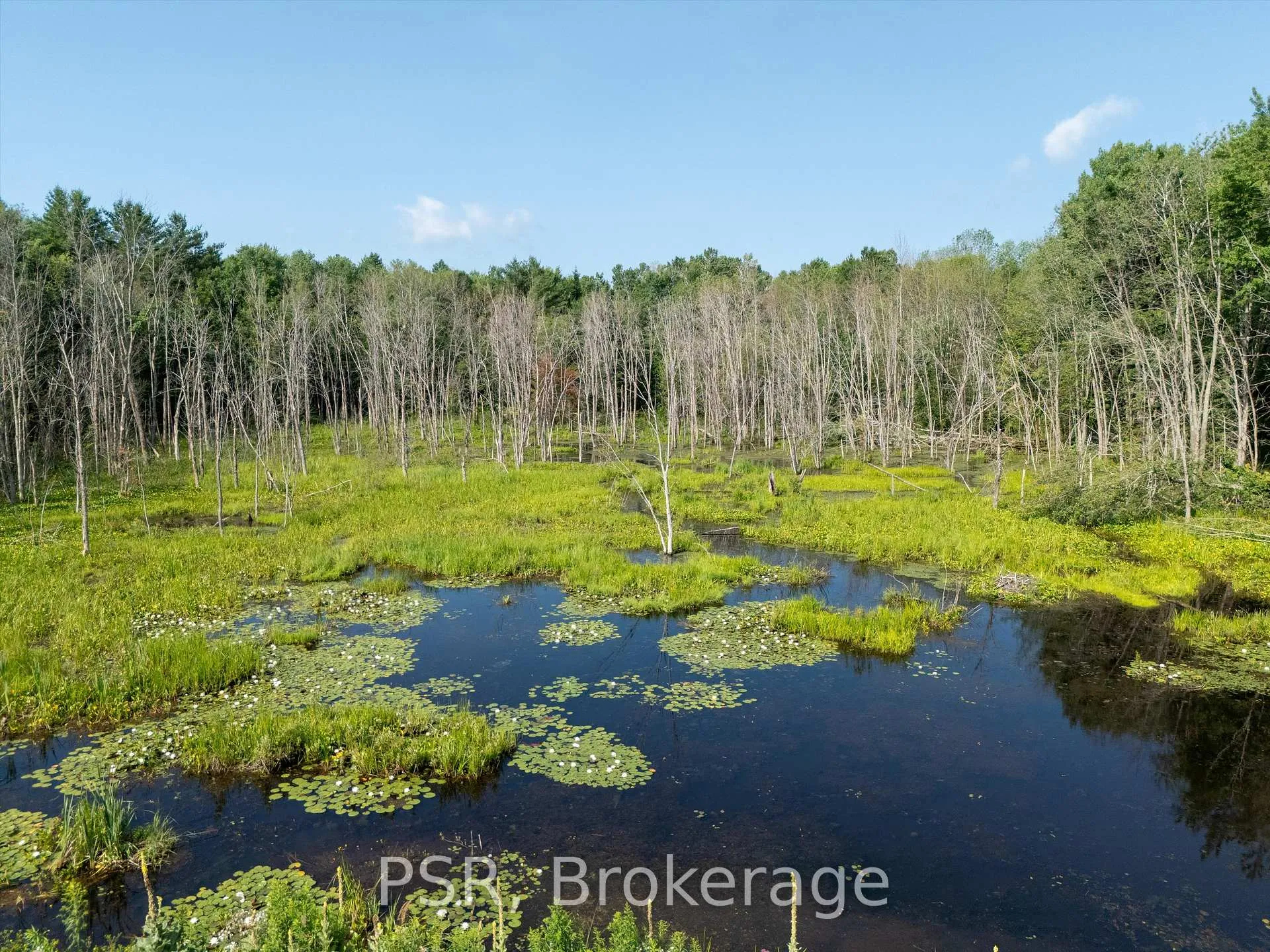 Photo 21 of 1465 Canning Road, Gravenhurst, Muskoka (S) — HOMEH