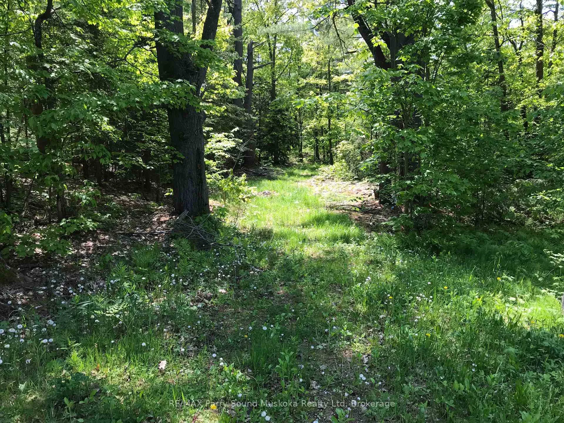 Photo 7 of 36 Windfall Lake Road, Seguin — HOMEH