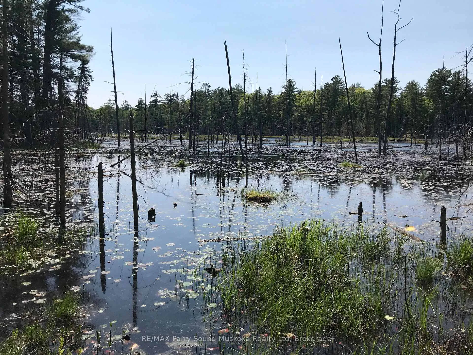 Photo 8 of 36 Windfall Lake Road, Seguin — HOMEH