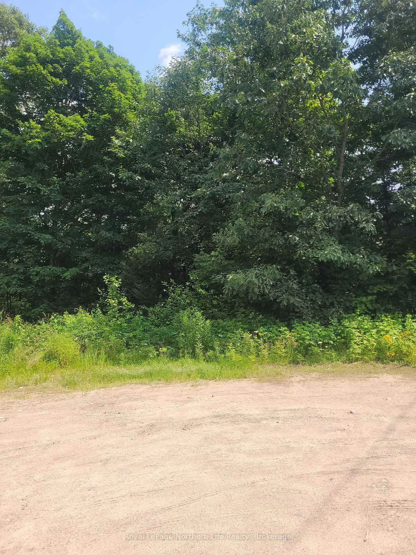 Photo 1 of LOT 10 Viburnum Vale Road, Mattawan — HOMEH