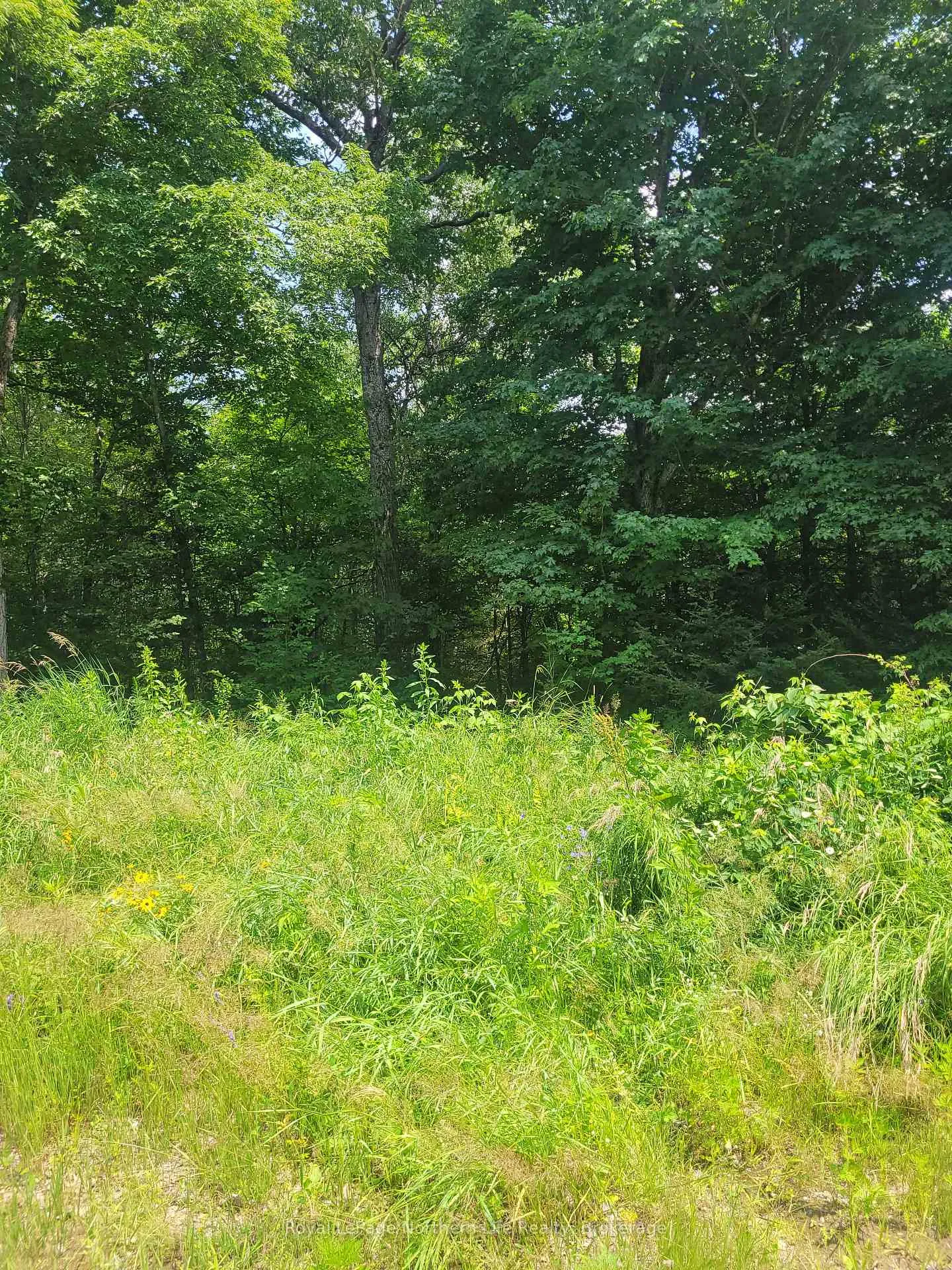 Photo 2 of LOT 10 Viburnum Vale Road, Mattawan — HOMEH