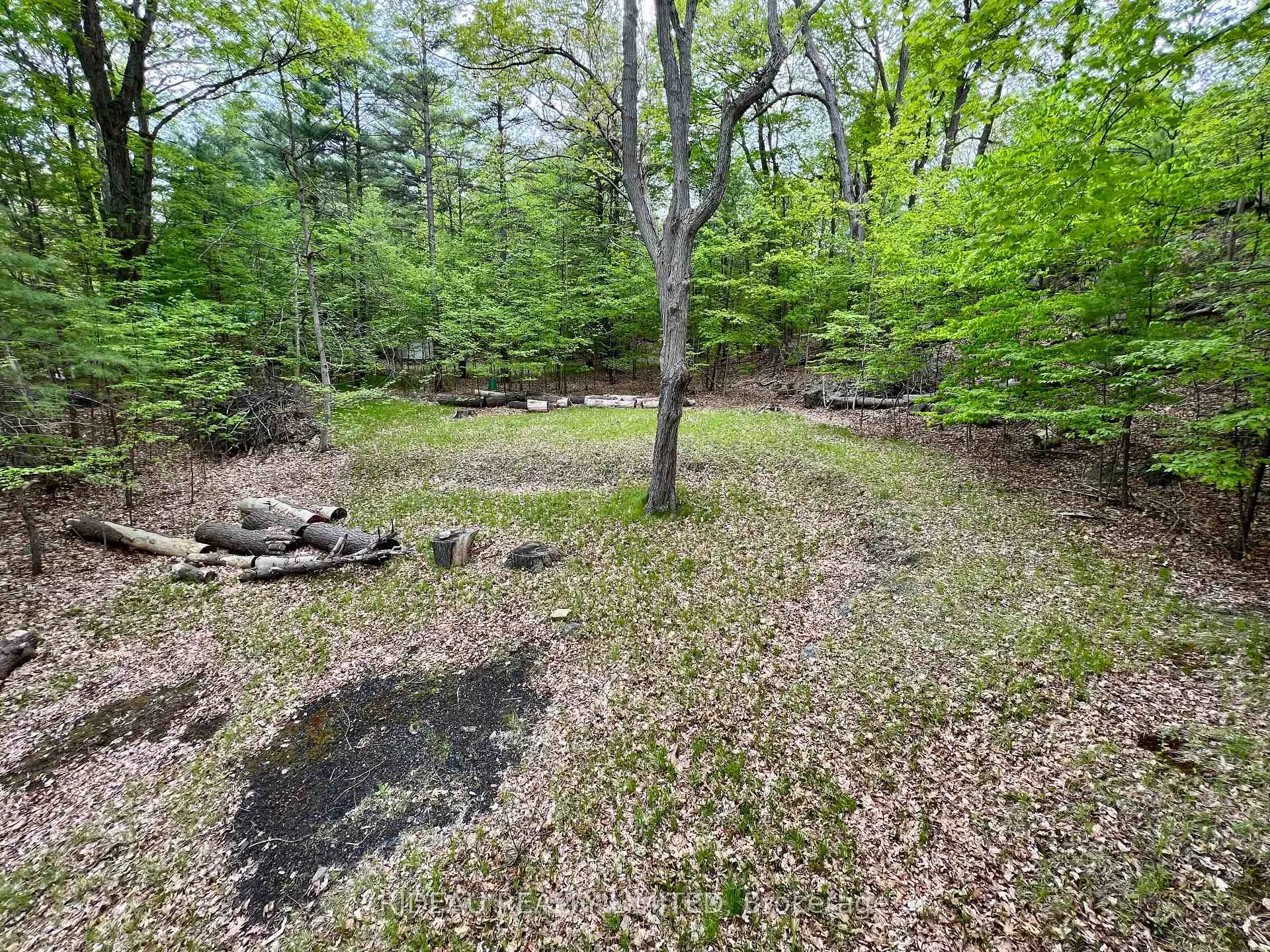 Photo 14 of 22 Birch Island, Rideau Lakes, Rideau Lakes (South Elmsley) Twp — HOMEH