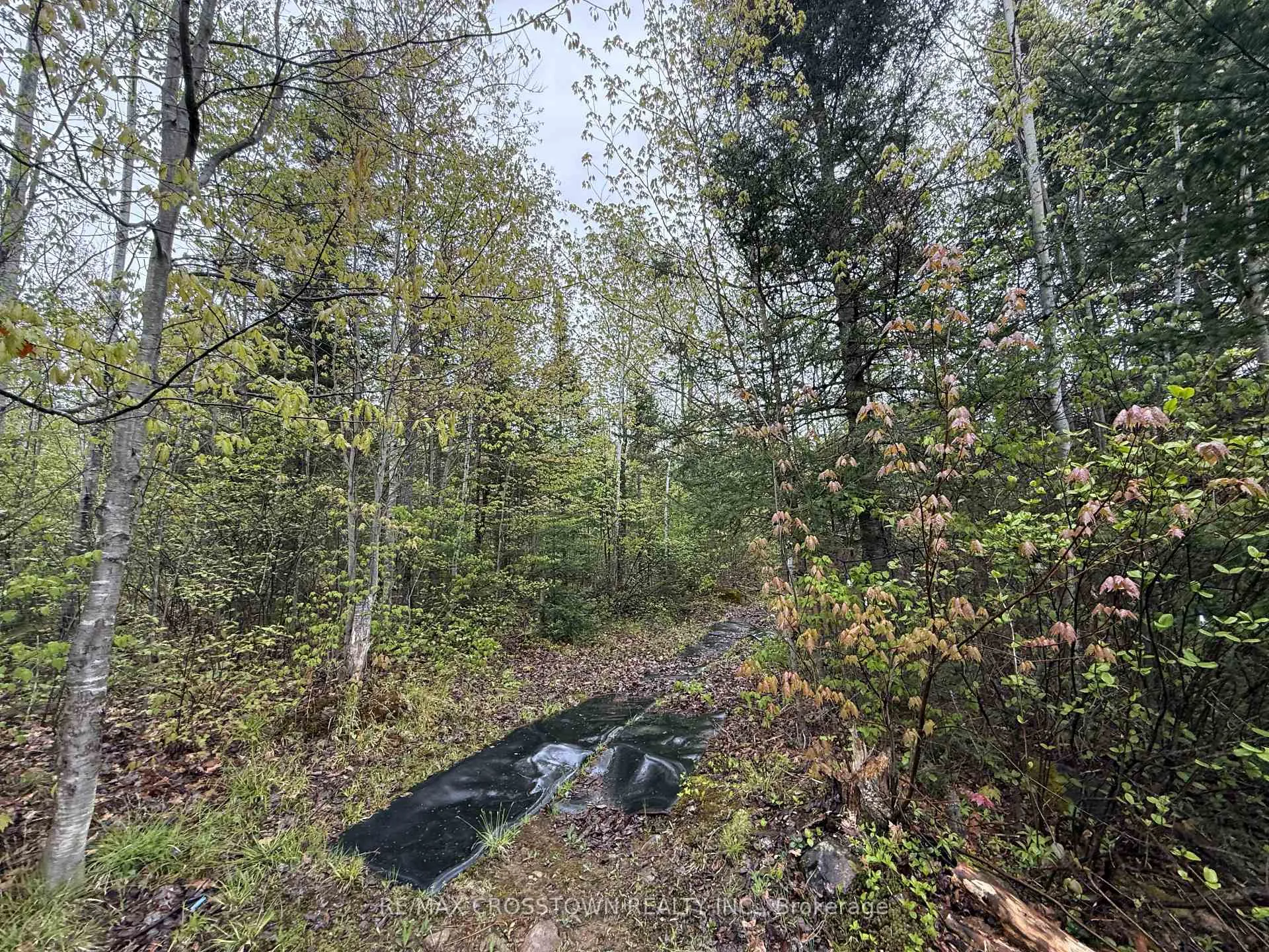 Photo 15 of 265 Argo Run, Mattawan — HOMEH