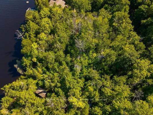 Photo 10 of 23 Dancy Lane, McKellar — HOMEH