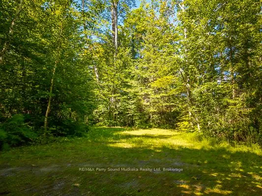 Photo 29 of 23 Dancy Lane, McKellar — HOMEH