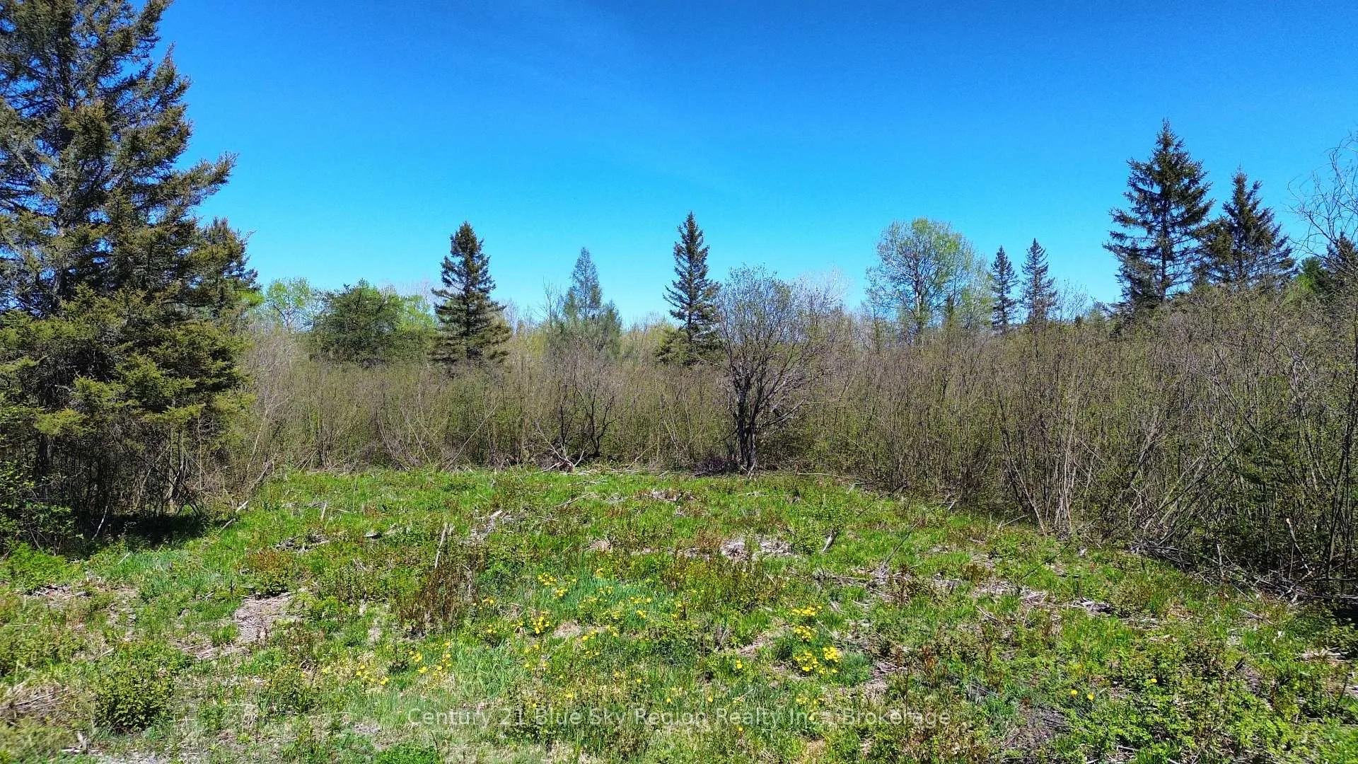 Photo 1 of 106 De La Montee Road, West Nipissing, Field — HOMEH