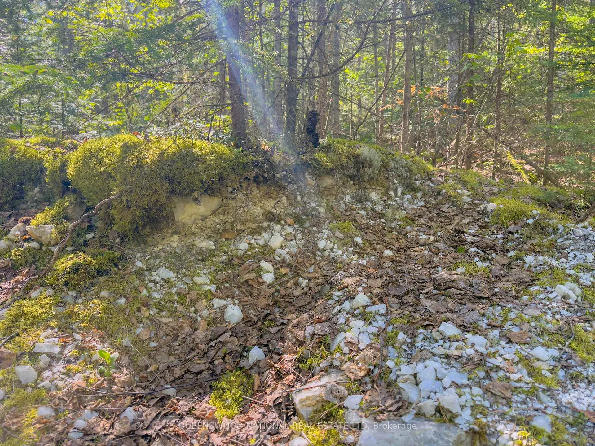 Photo 9 of 1315 Major Lake Road, South Algonquin — HOMEH