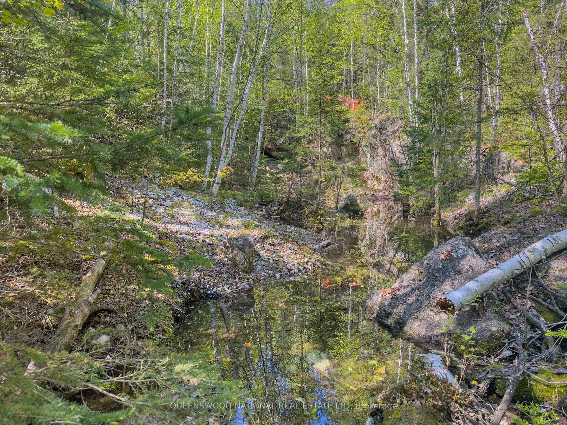 Photo 29 of 1315 Major Lake Road, South Algonquin — HOMEH