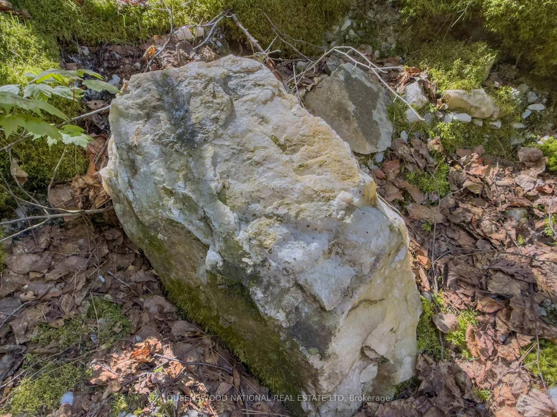 Photo 33 of 1315 Major Lake Road, South Algonquin — HOMEH