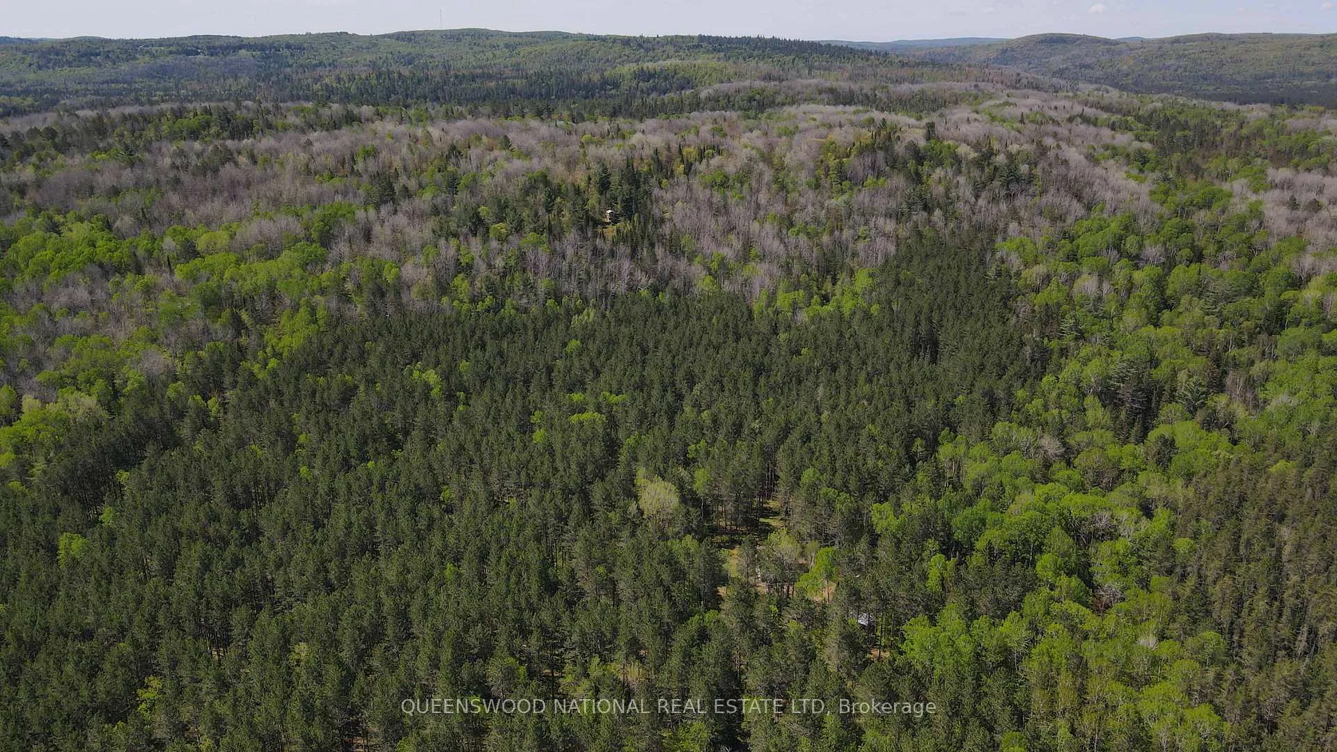 Photo 34 of 1315 Major Lake Road, South Algonquin — HOMEH