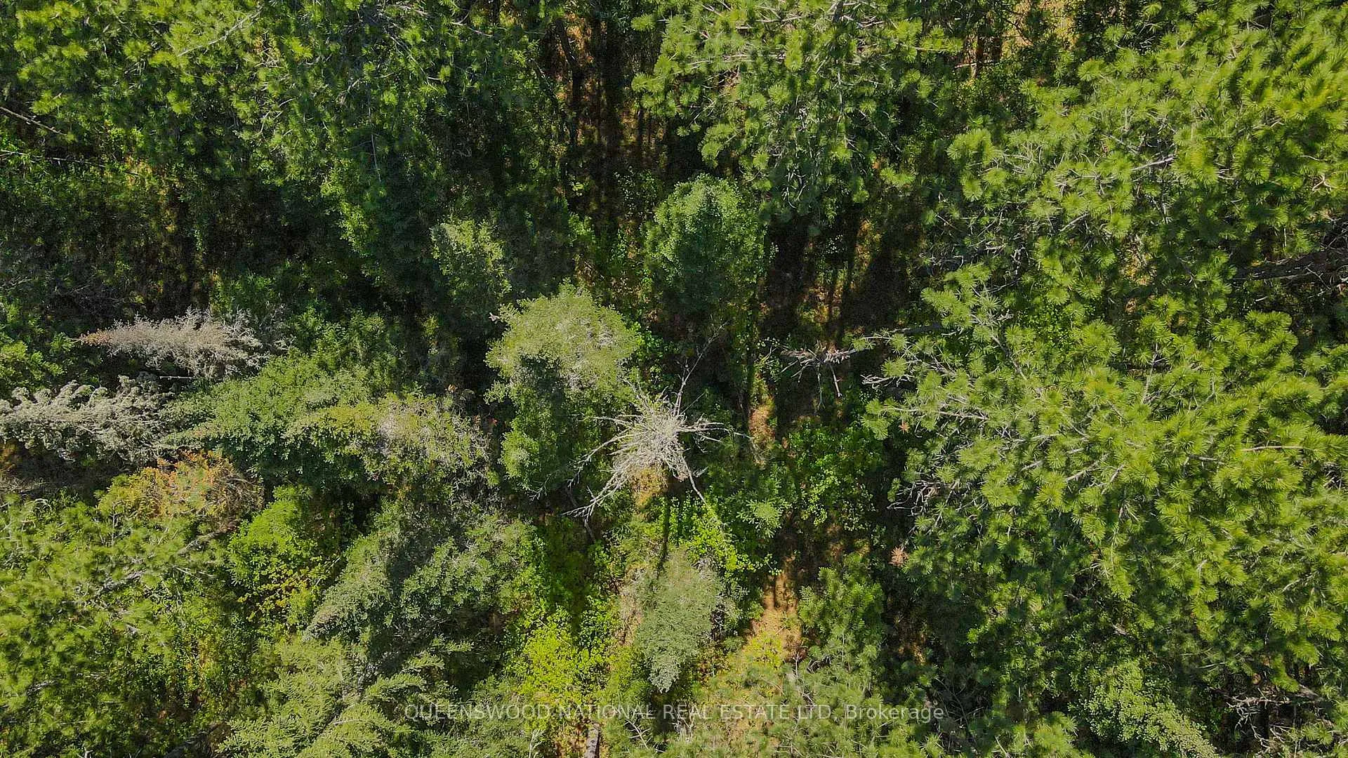 Photo 37 of 1315 Major Lake Road, South Algonquin — HOMEH