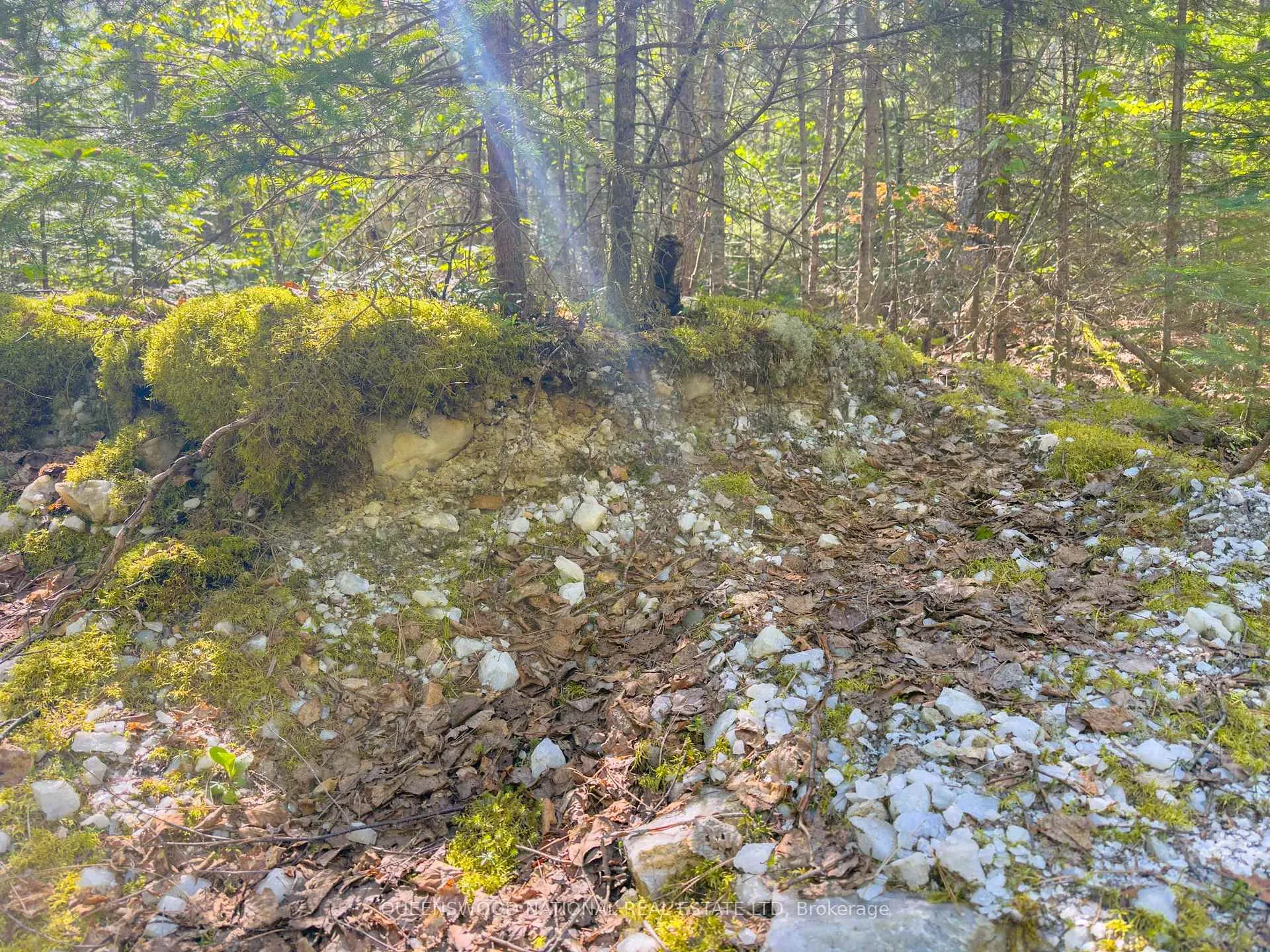 Photo 38 of 1315 Major Lake Road, South Algonquin — HOMEH